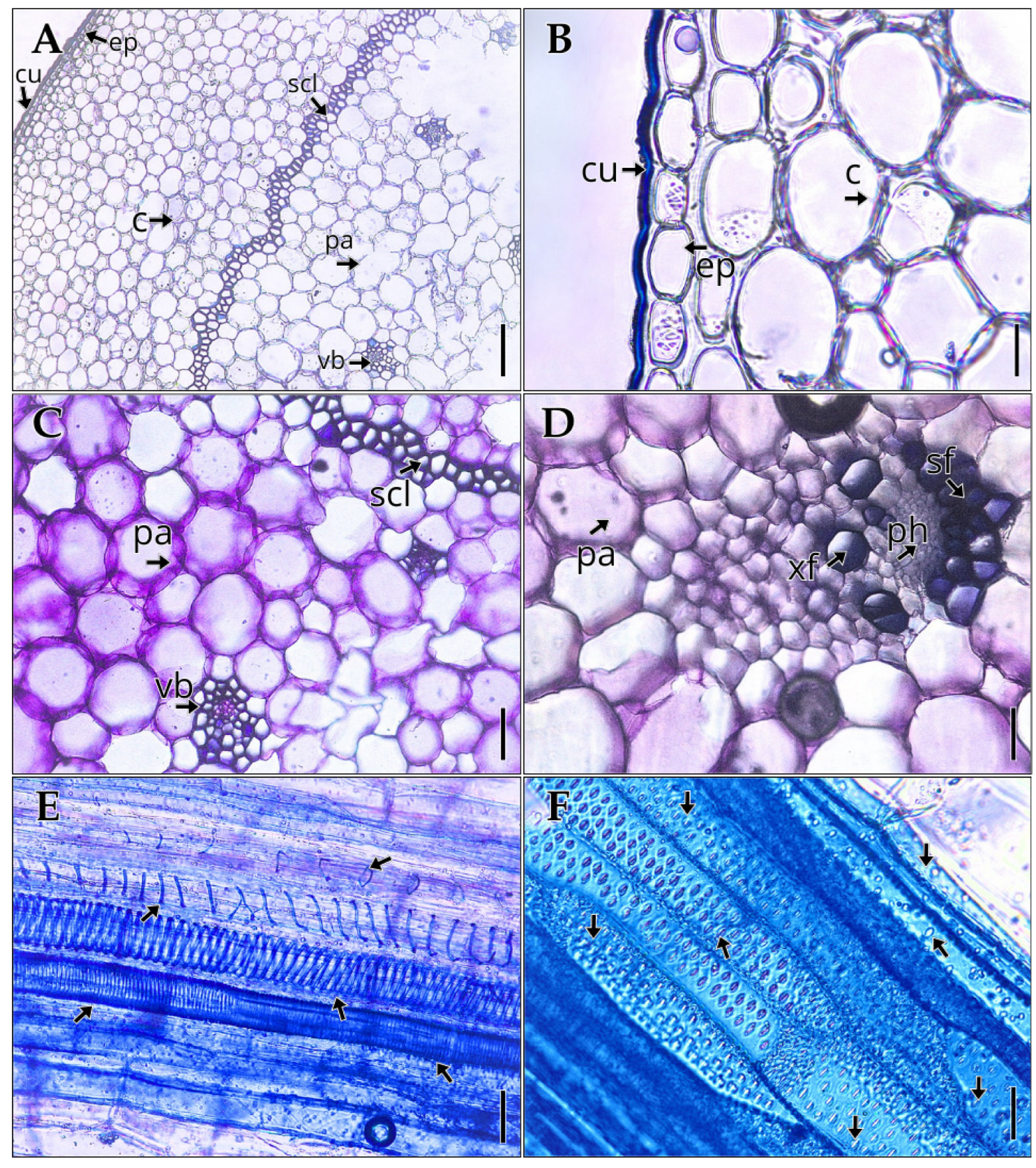 Preprints 178548 g004