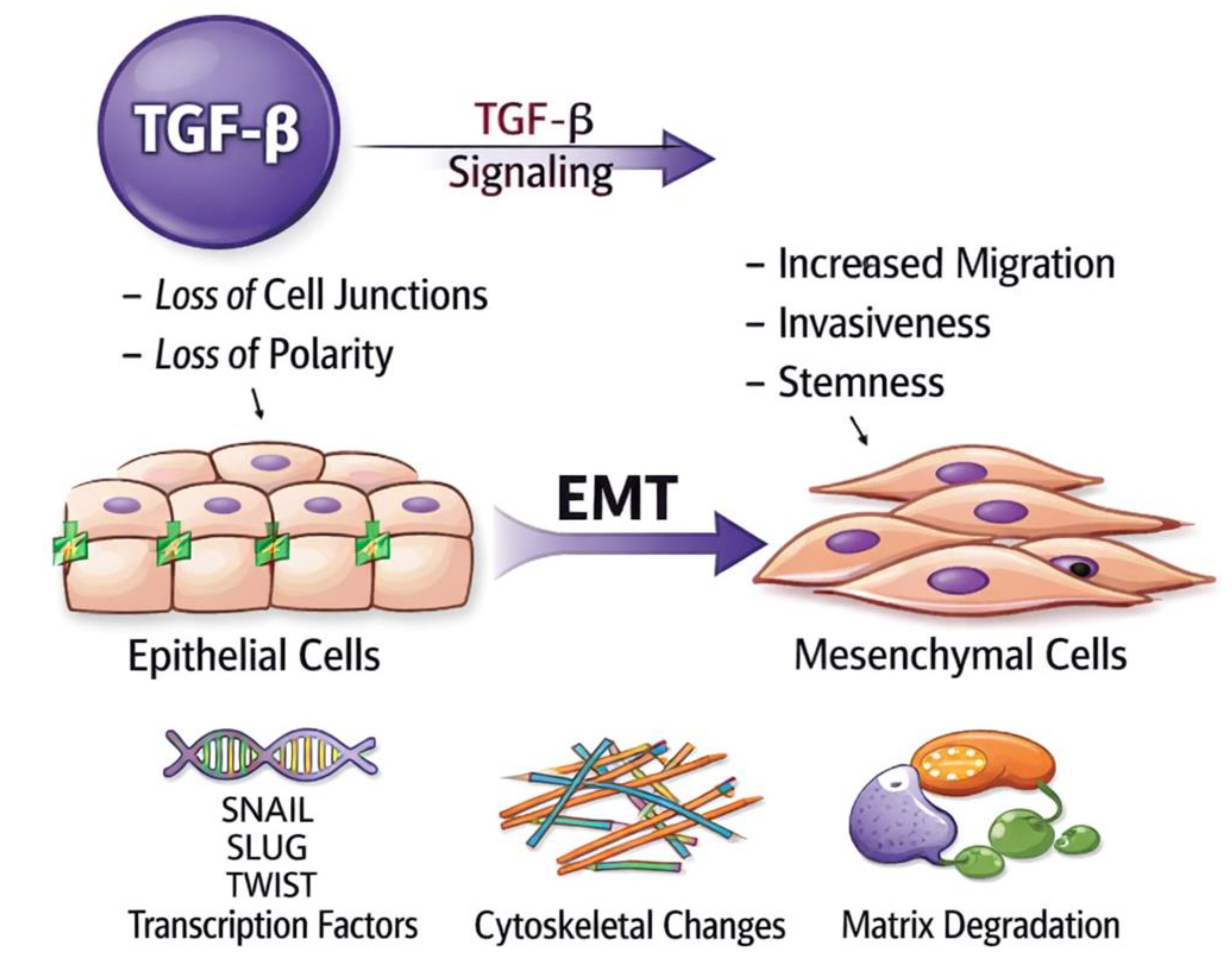 Preprints 209604 g001