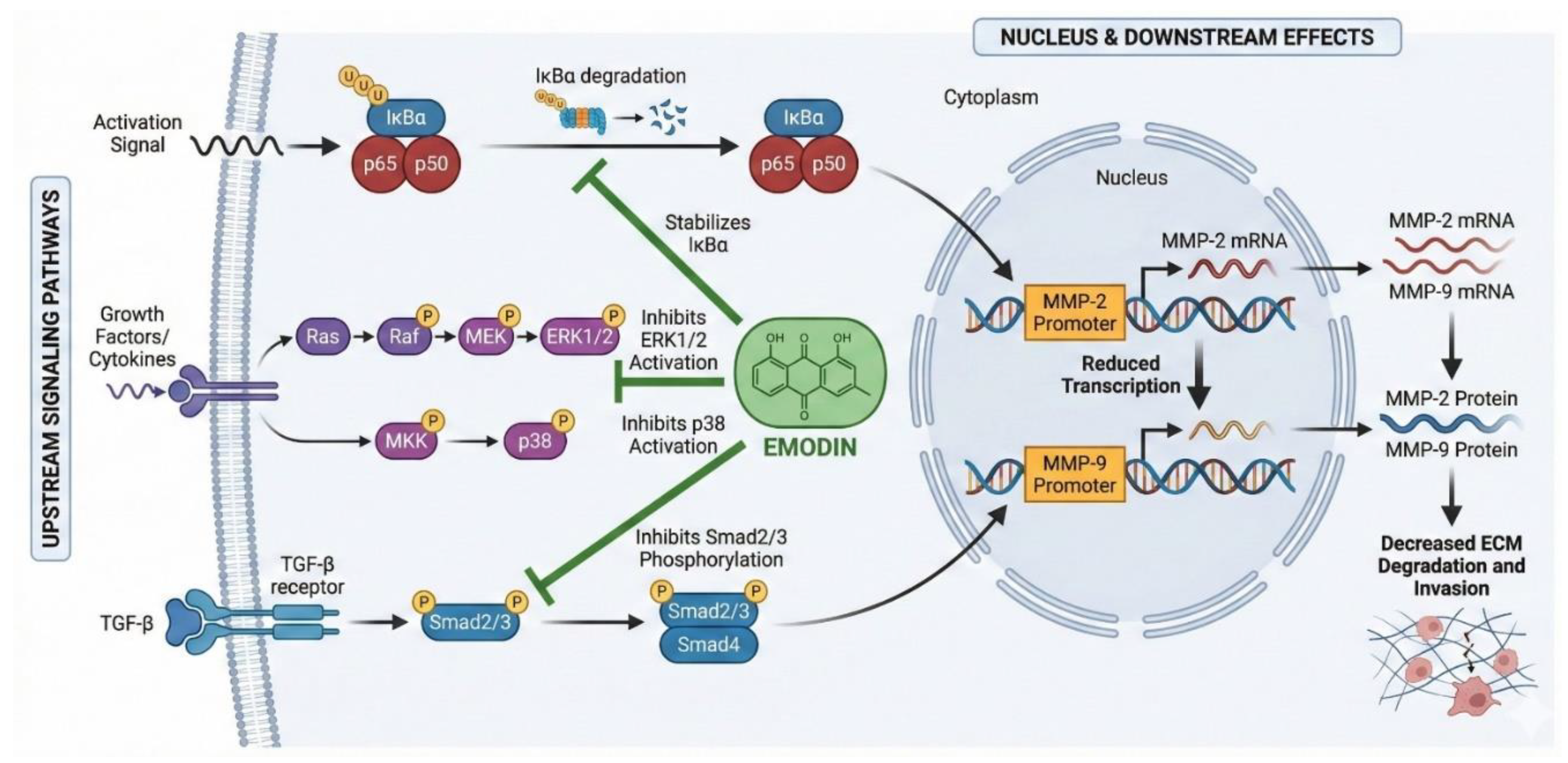 Preprints 209604 g002