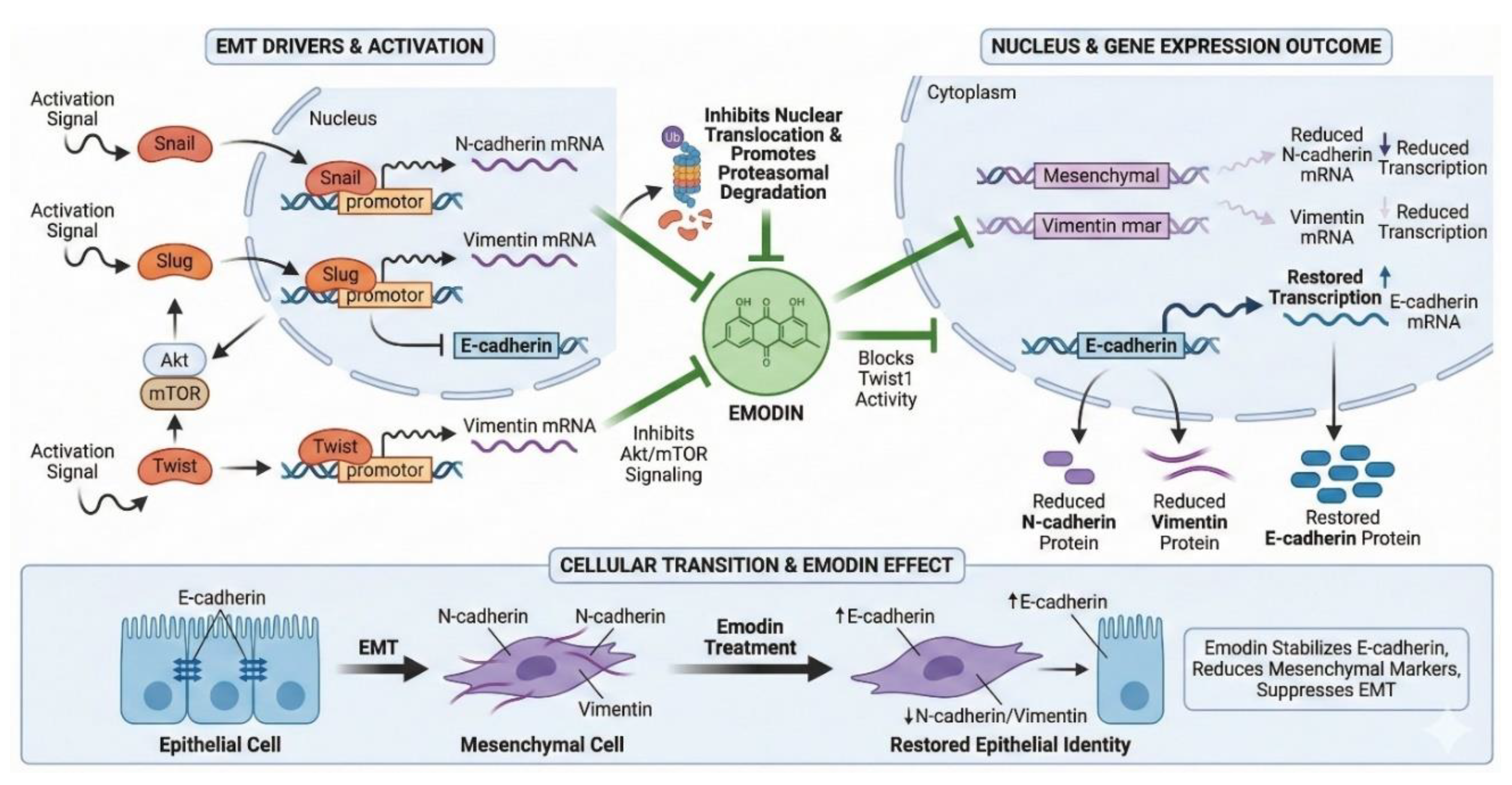 Preprints 209604 g003