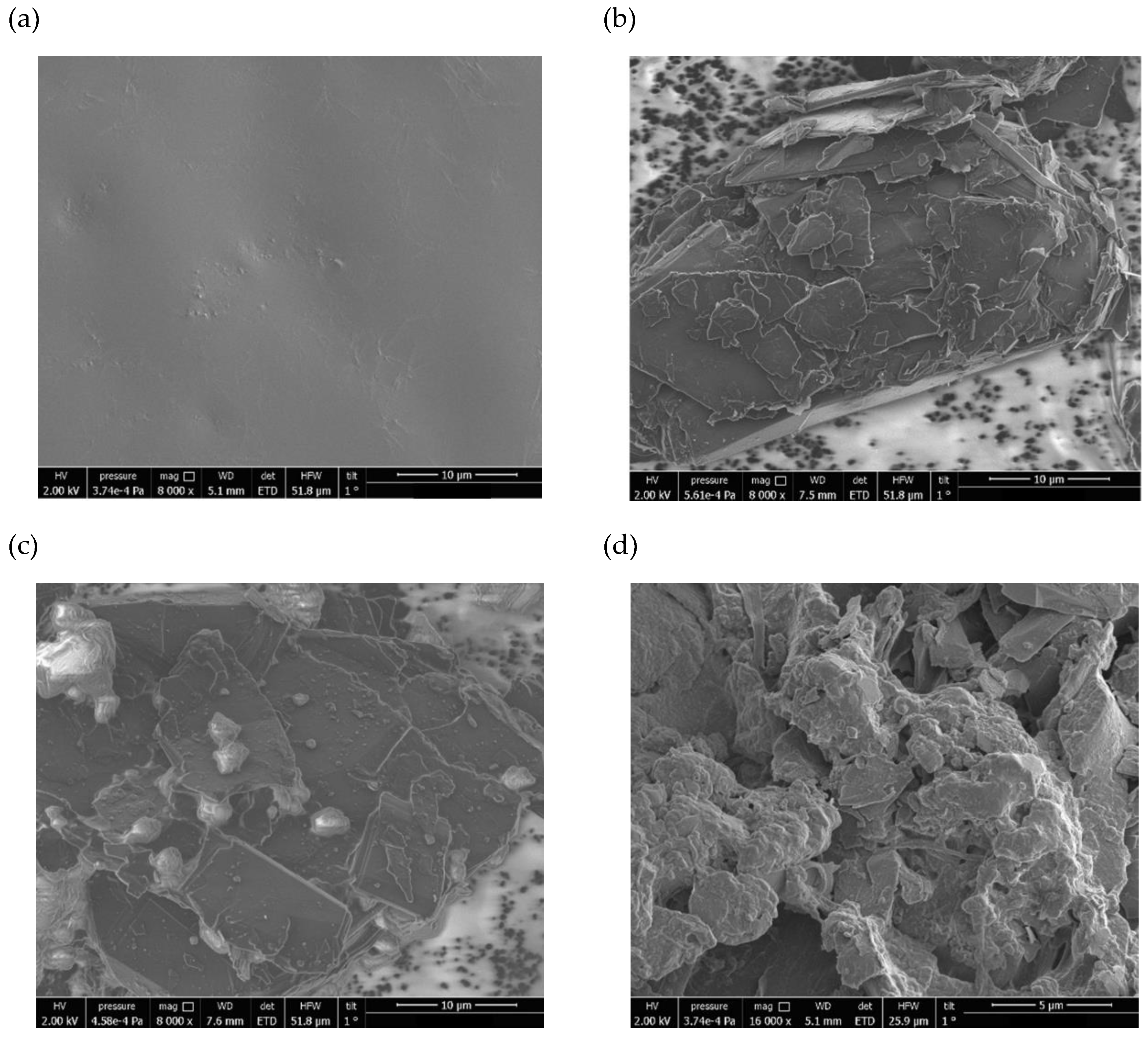 Preprints 142760 g003