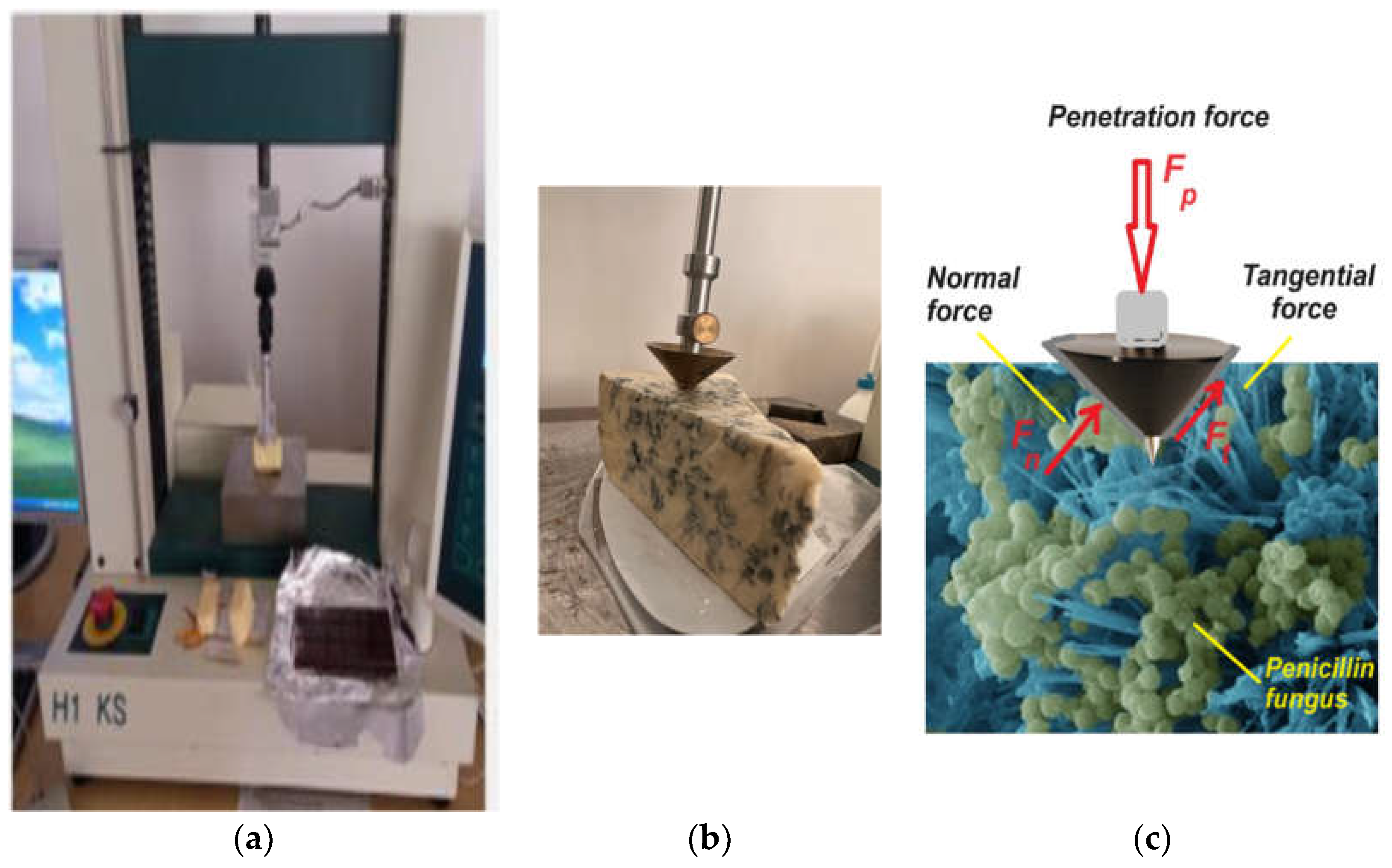 Preprints 115208 g002