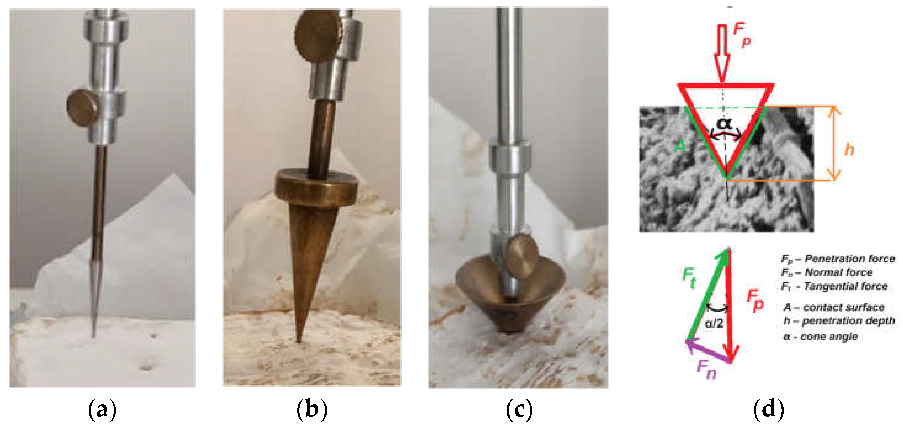 Preprints 115208 g004