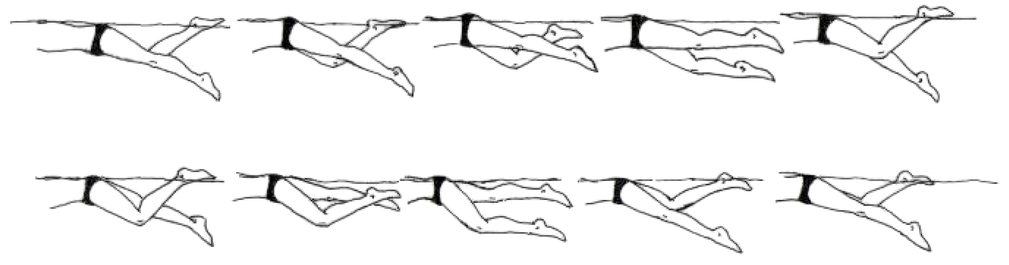 Preprints 176718 g010