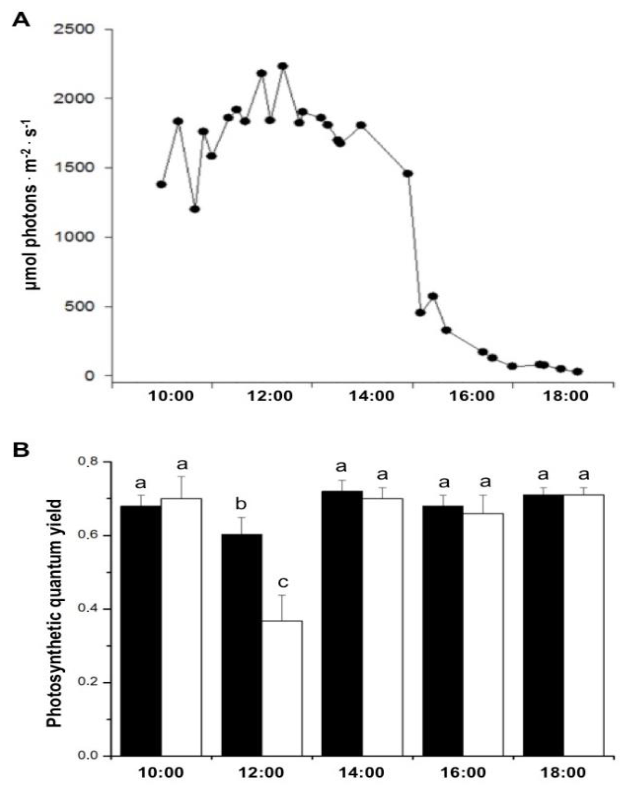 Preprints 144758 g001