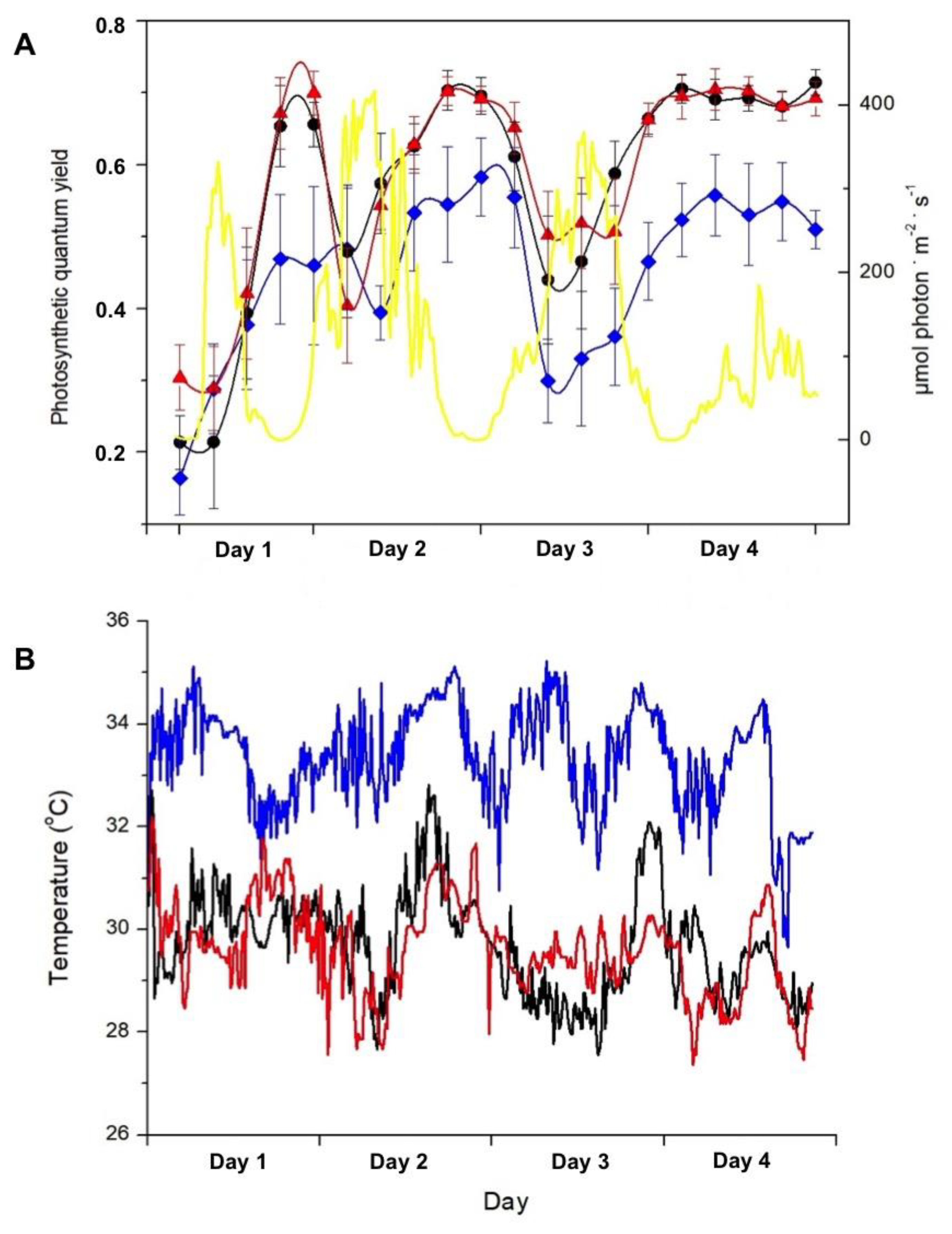 Preprints 144758 g002