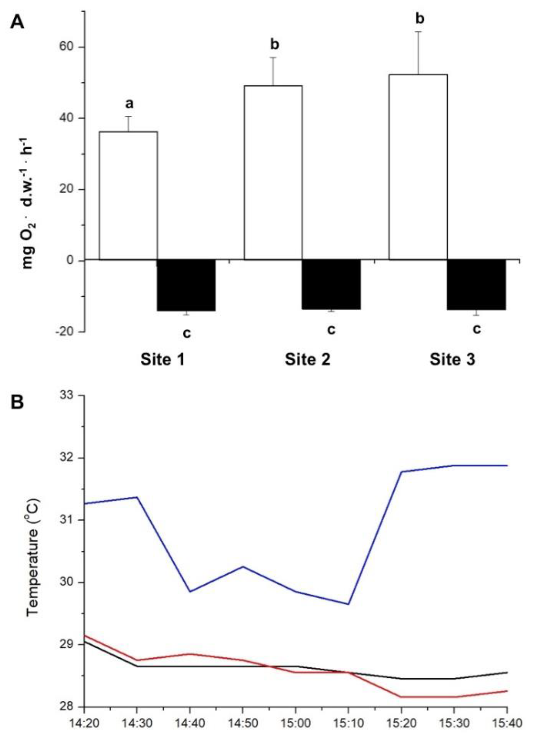 Preprints 144758 g003