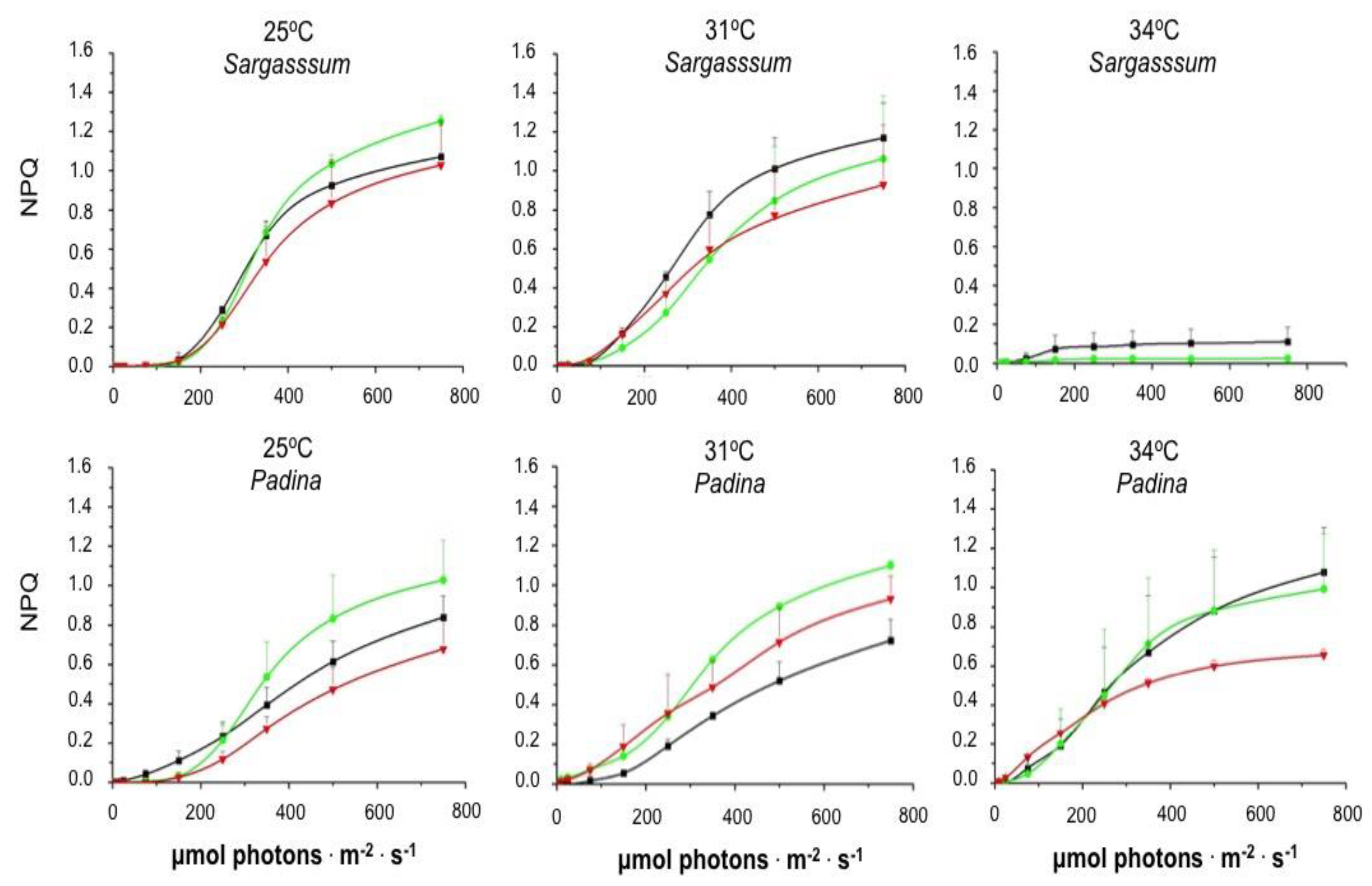 Preprints 144758 g005
