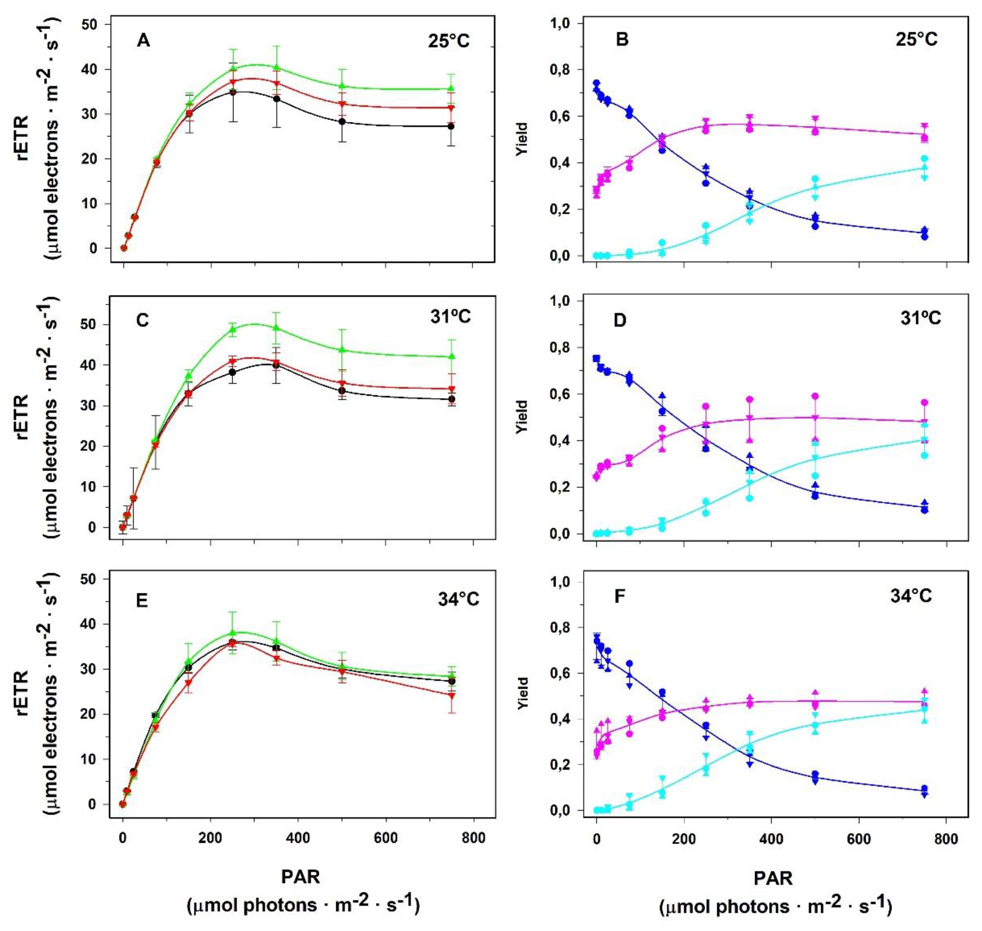 Preprints 144758 g006