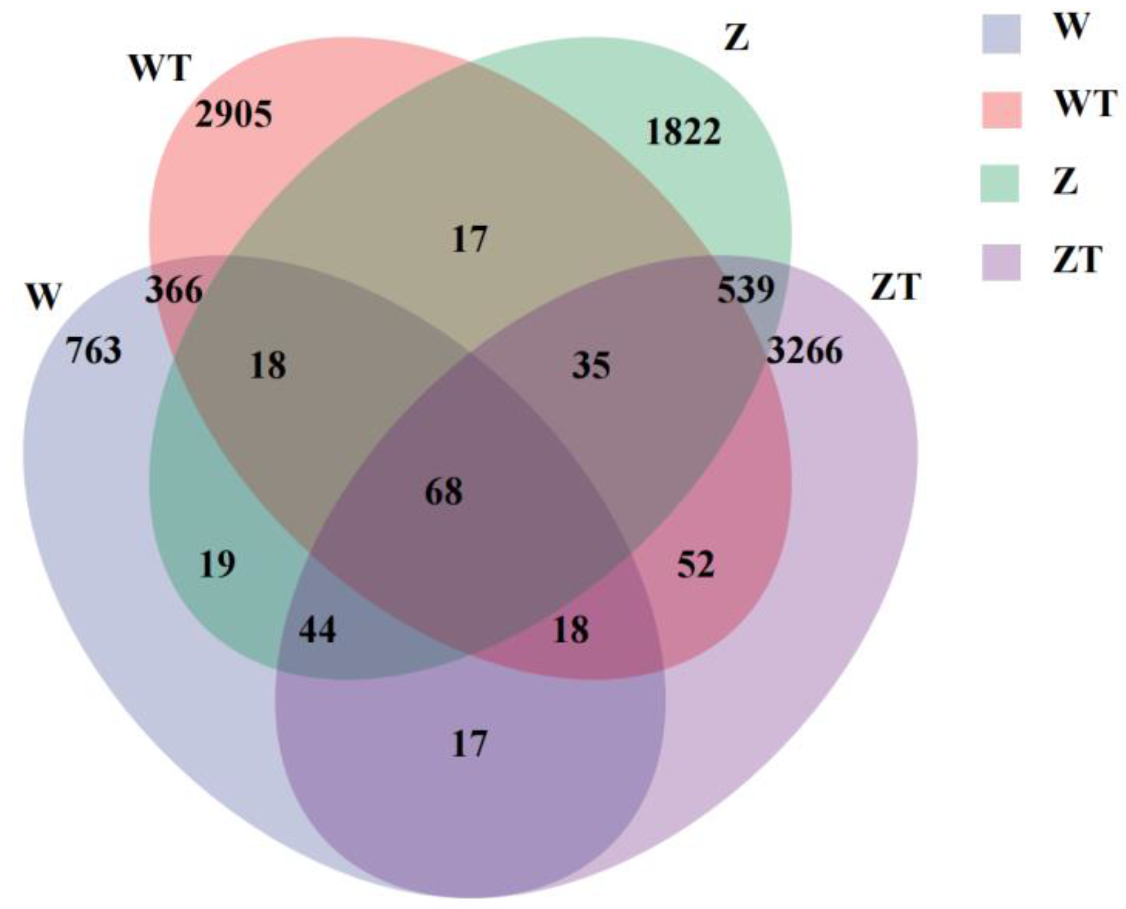 Preprints 197529 g002