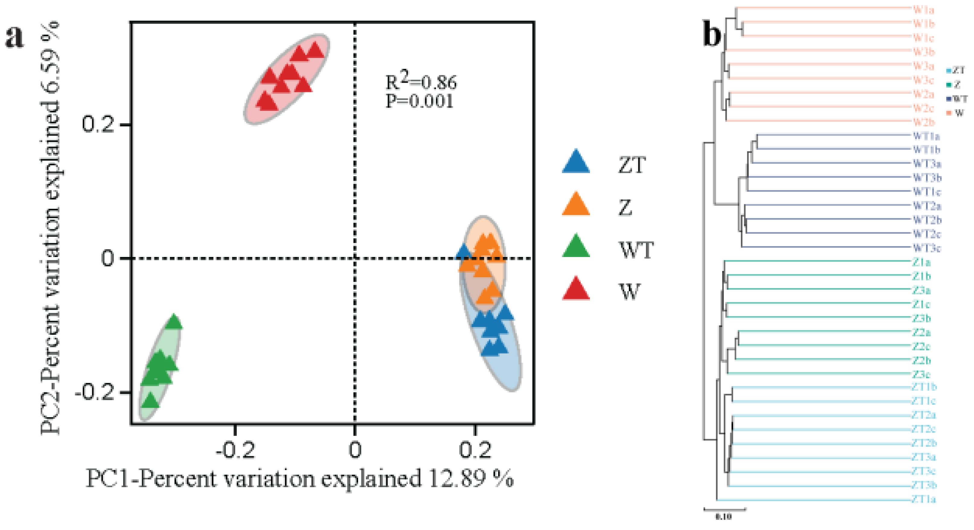 Preprints 197529 g003