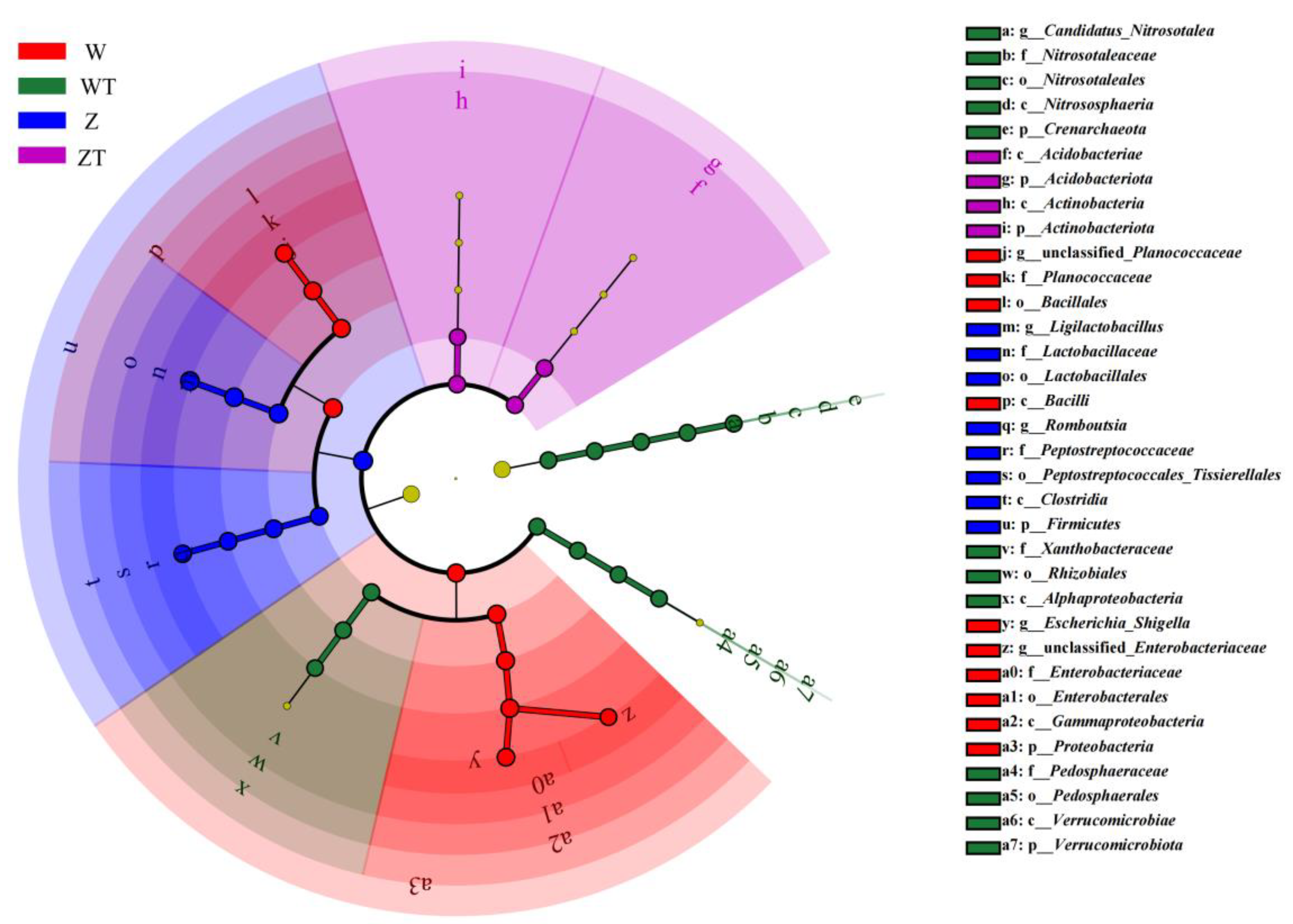 Preprints 197529 g005