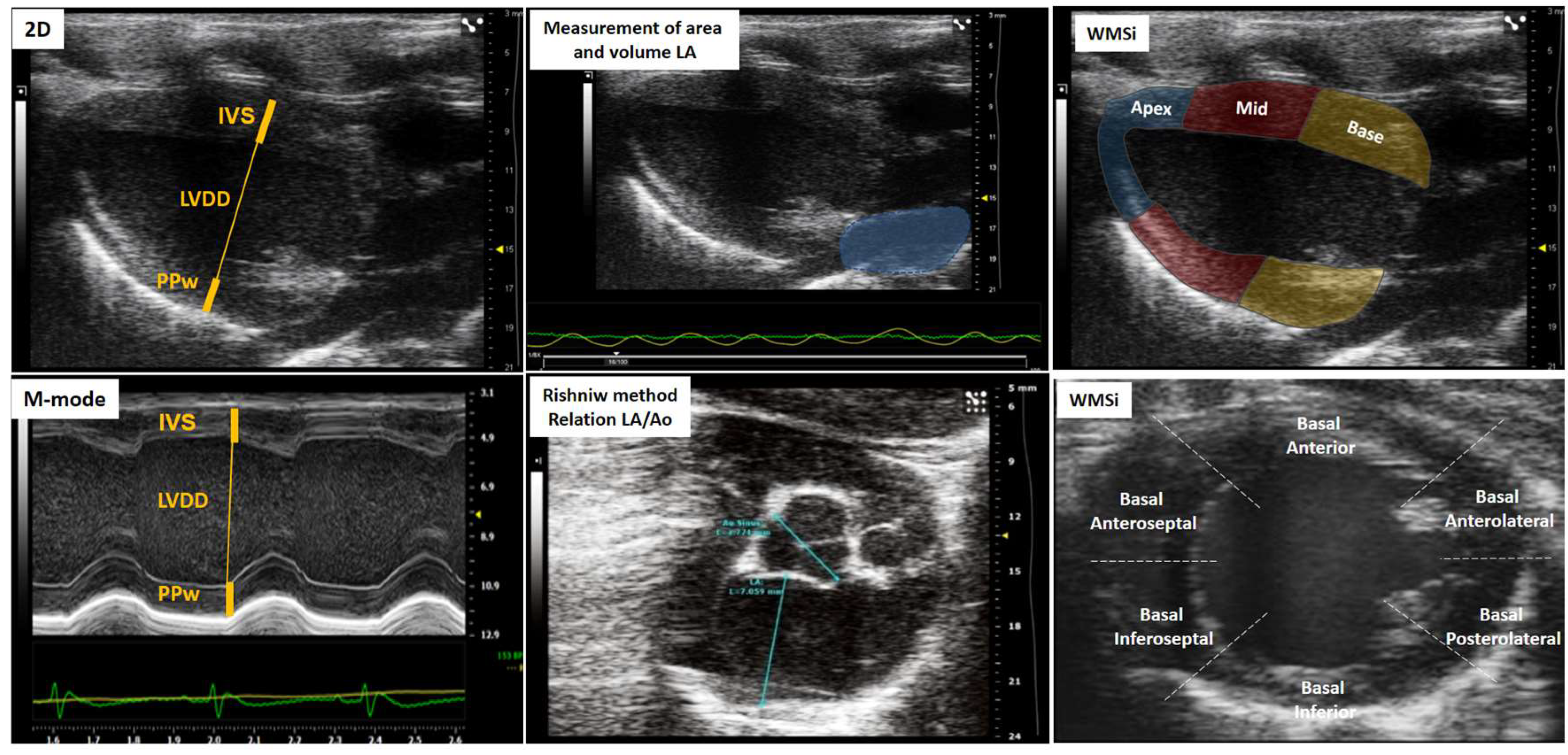Preprints 159812 g001