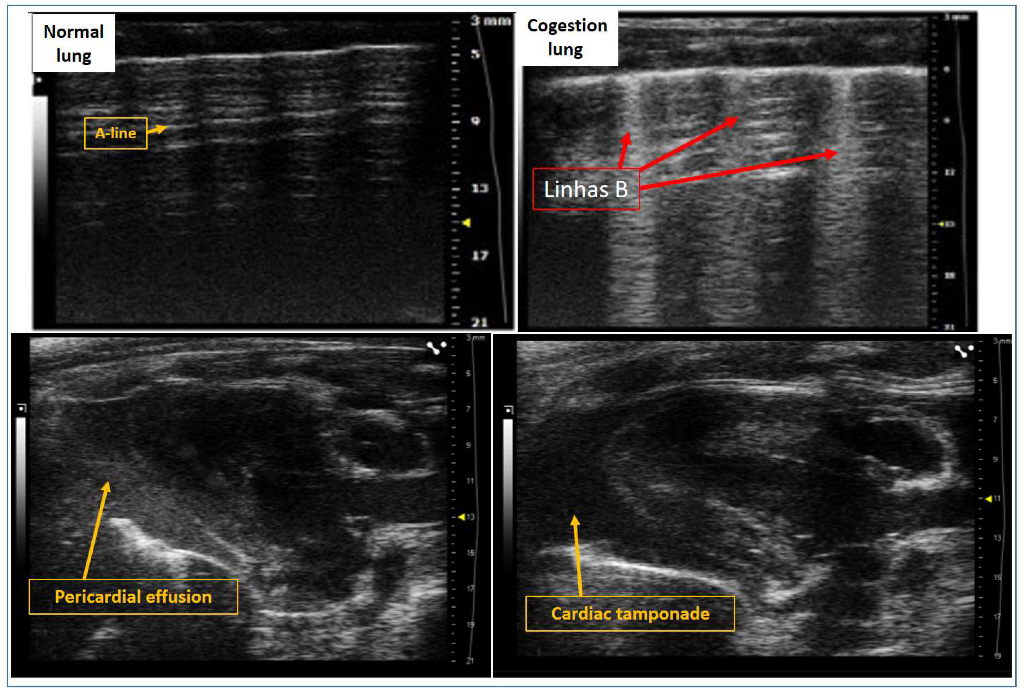 Preprints 159812 g002