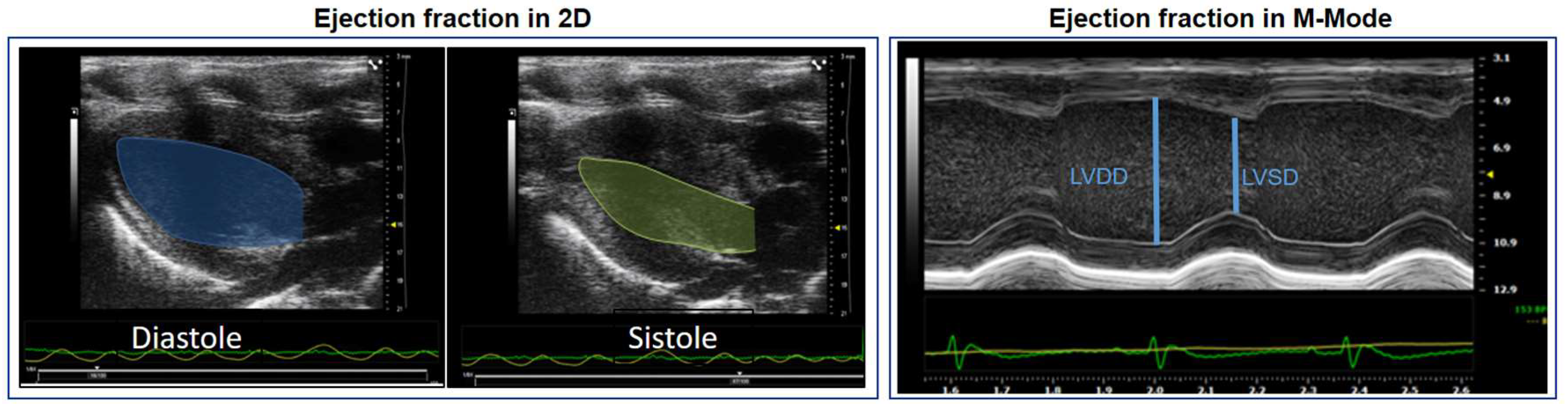 Preprints 159812 g003