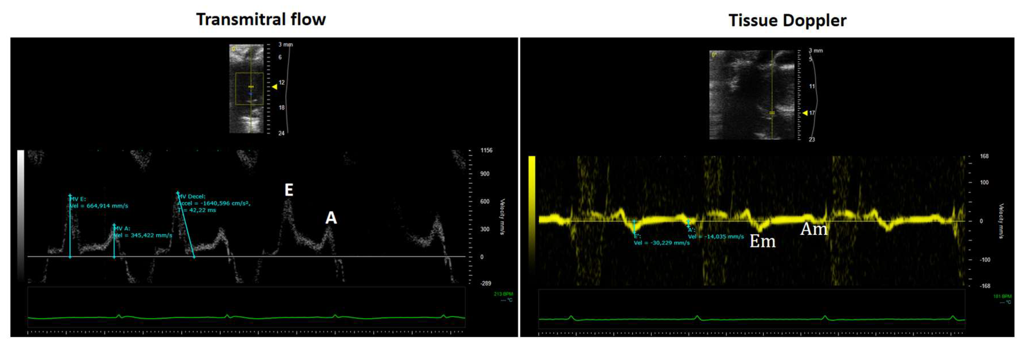 Preprints 159812 g005