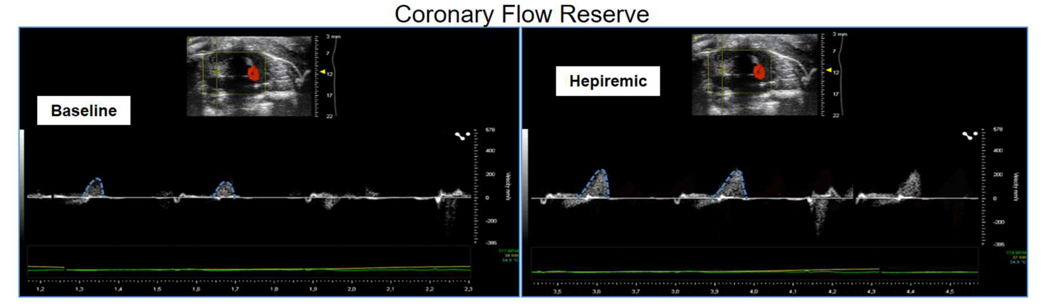 Preprints 159812 g006