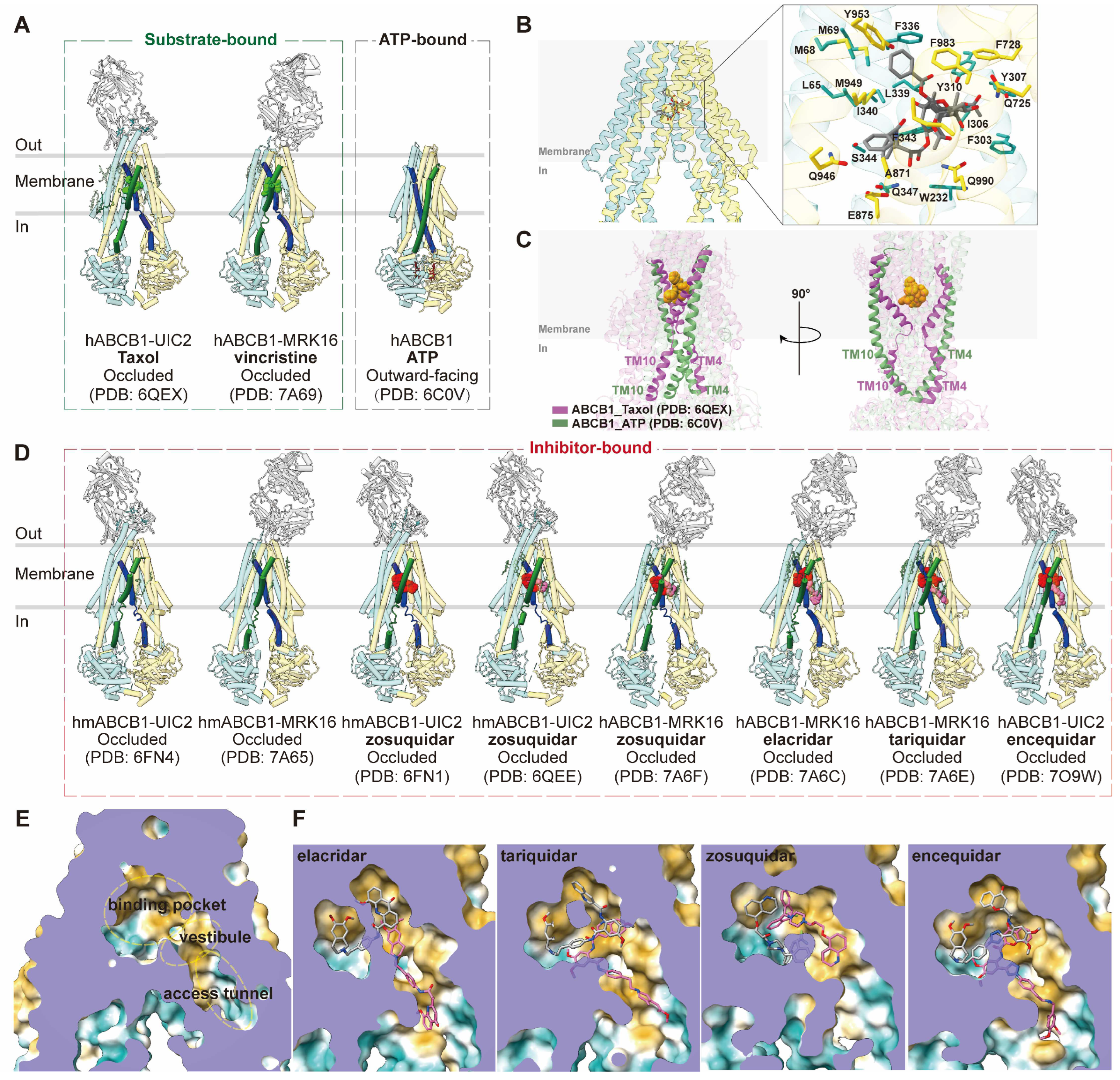 Preprints 93890 g002