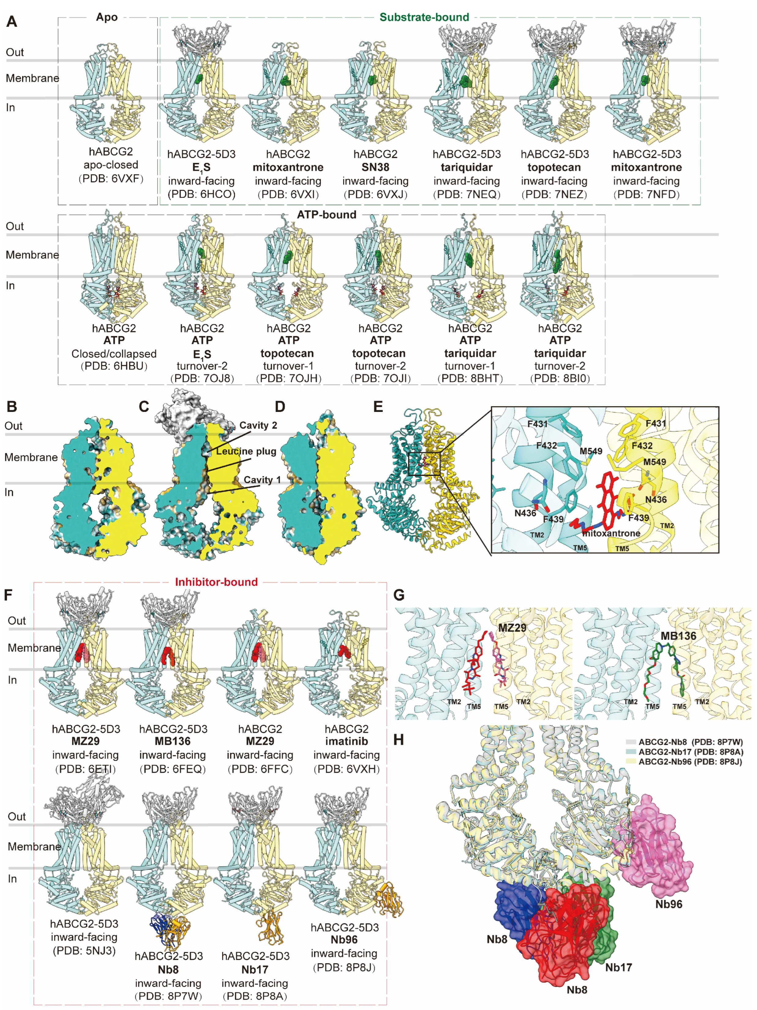 Preprints 93890 g003