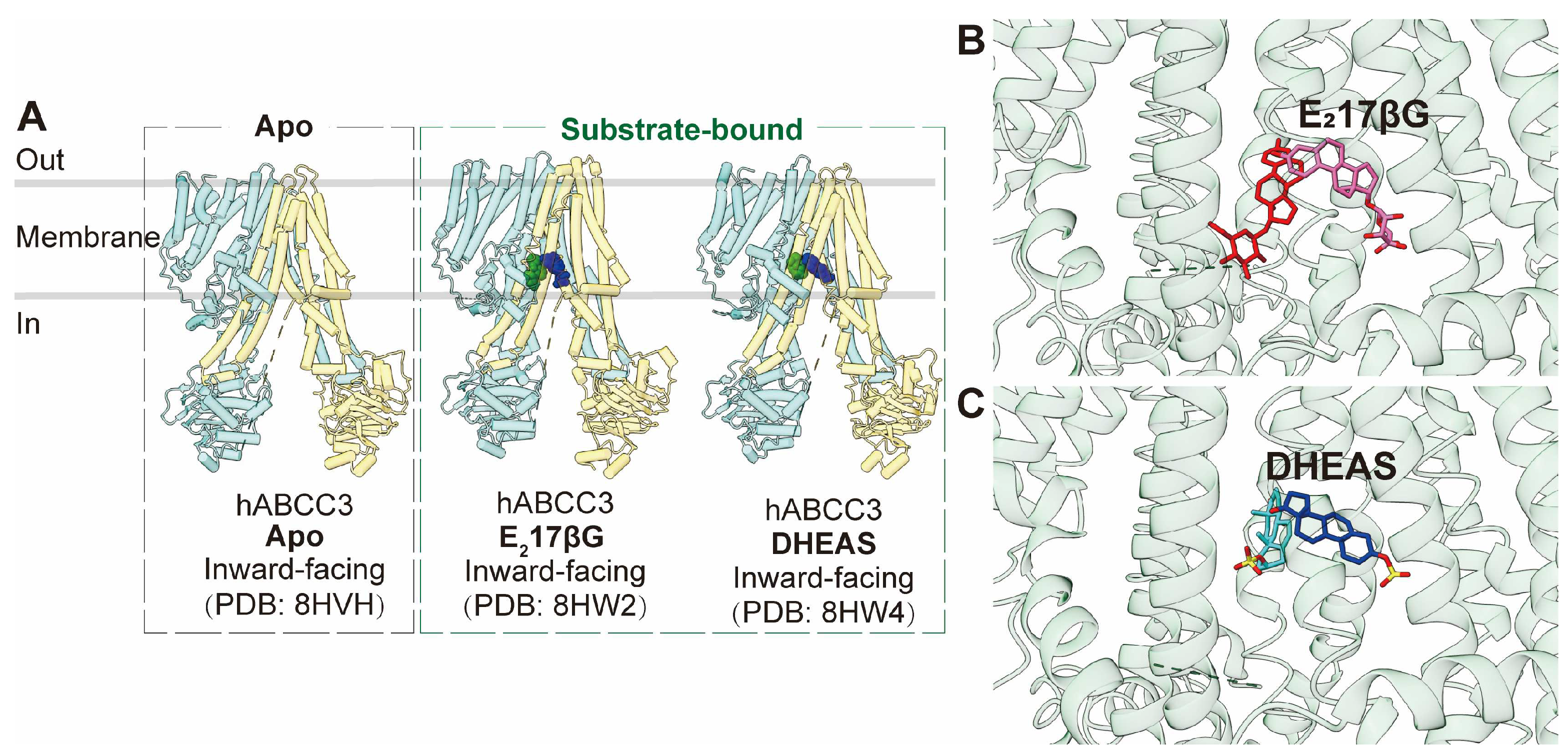 Preprints 93890 g005