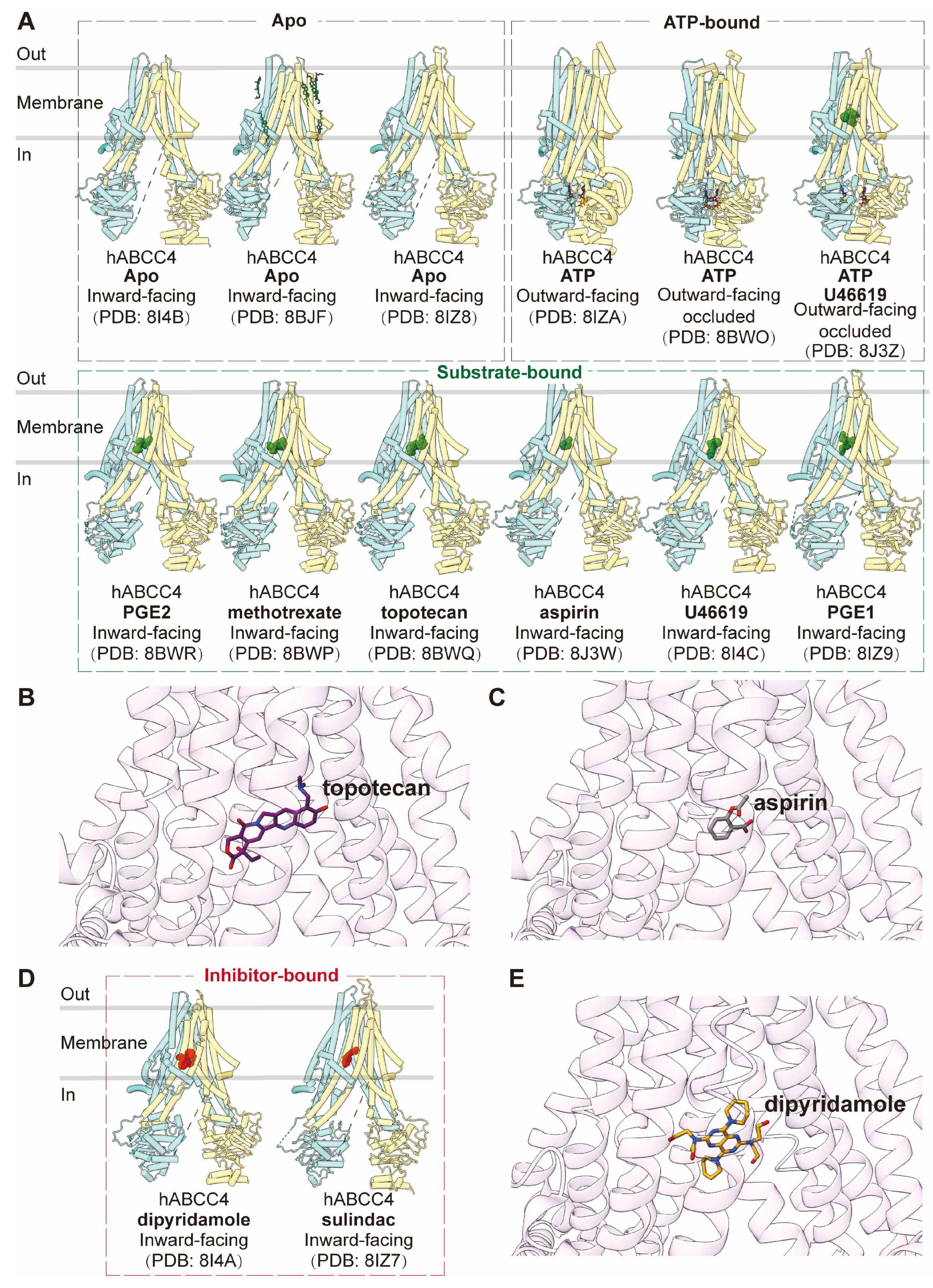 Preprints 93890 g006
