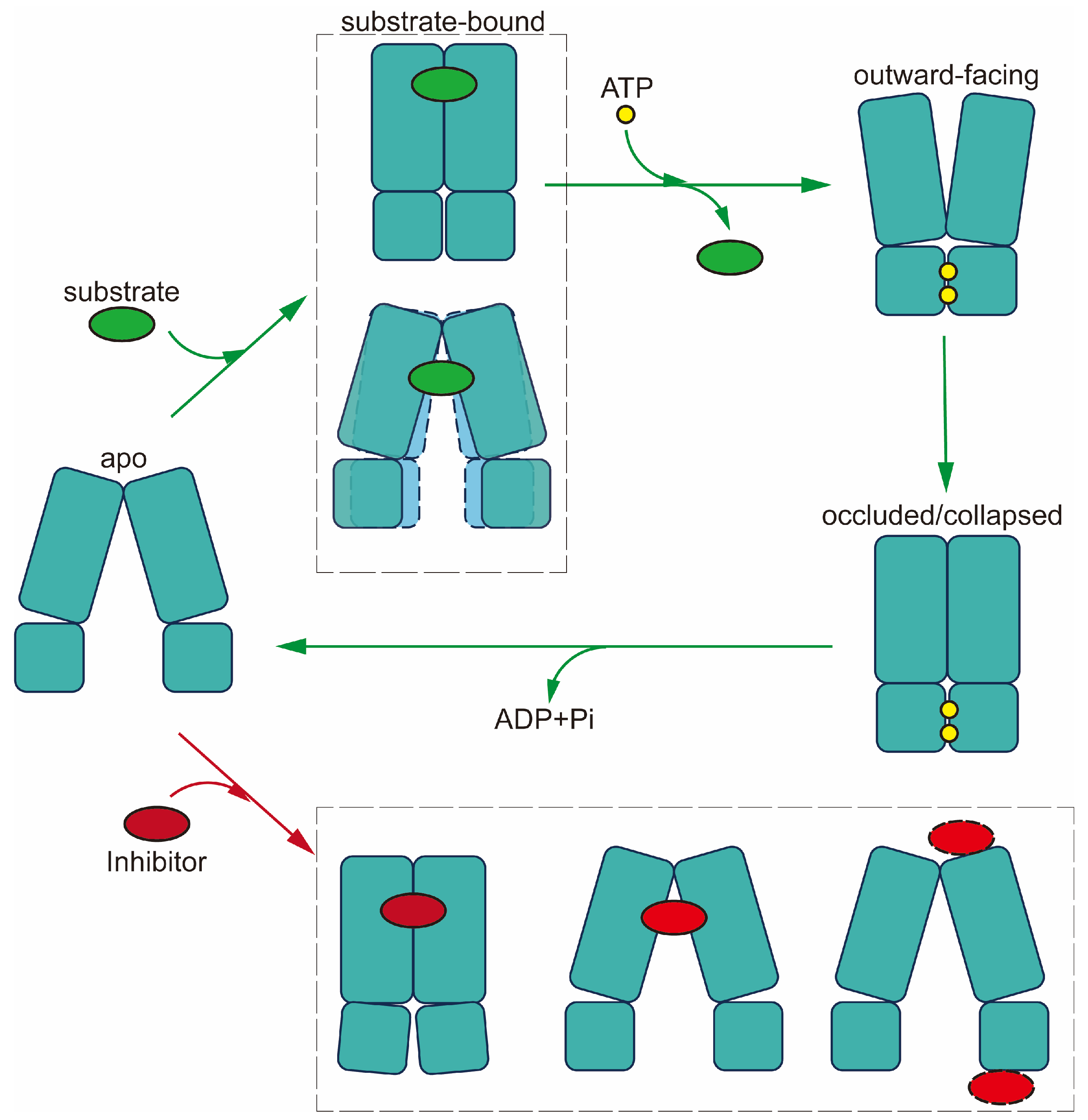 Preprints 93890 g007