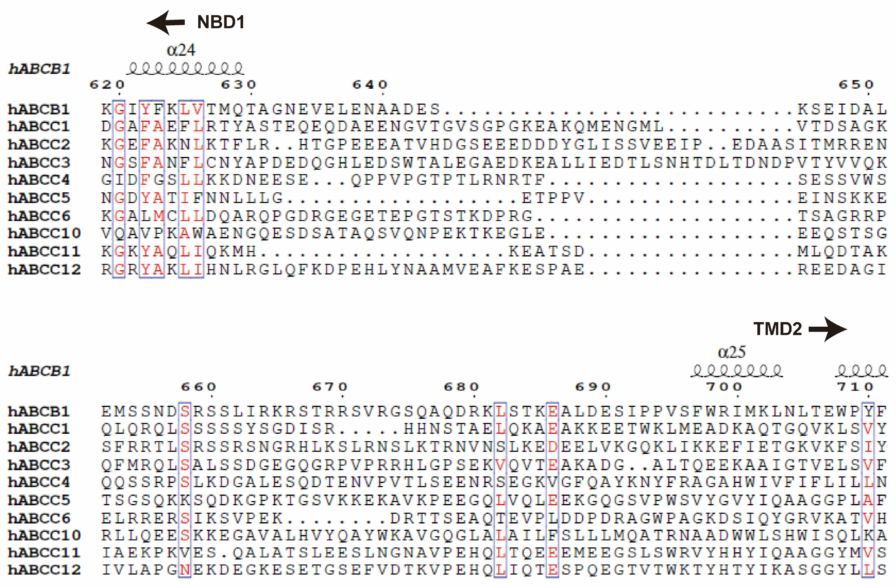 Preprints 93890 g008