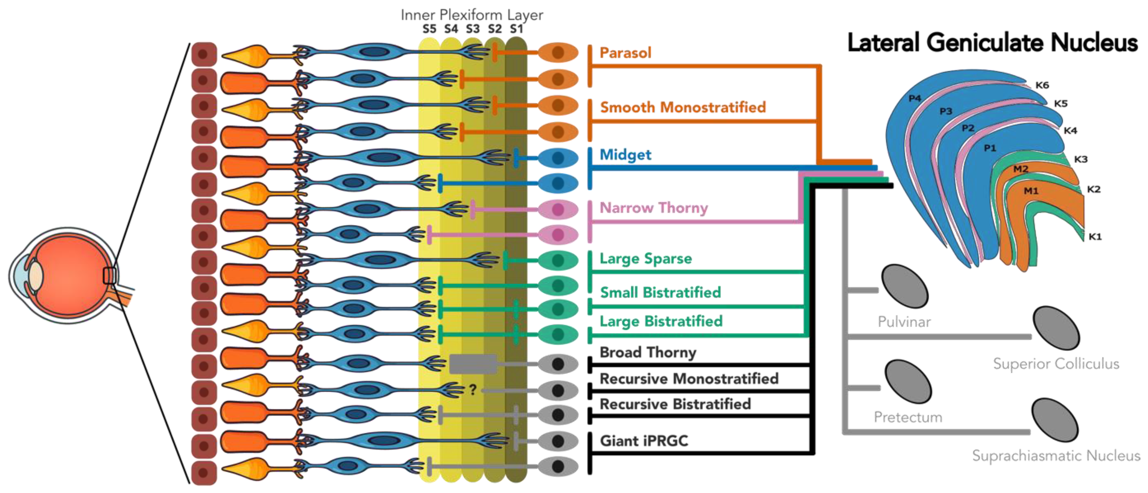 Preprints 181487 g001