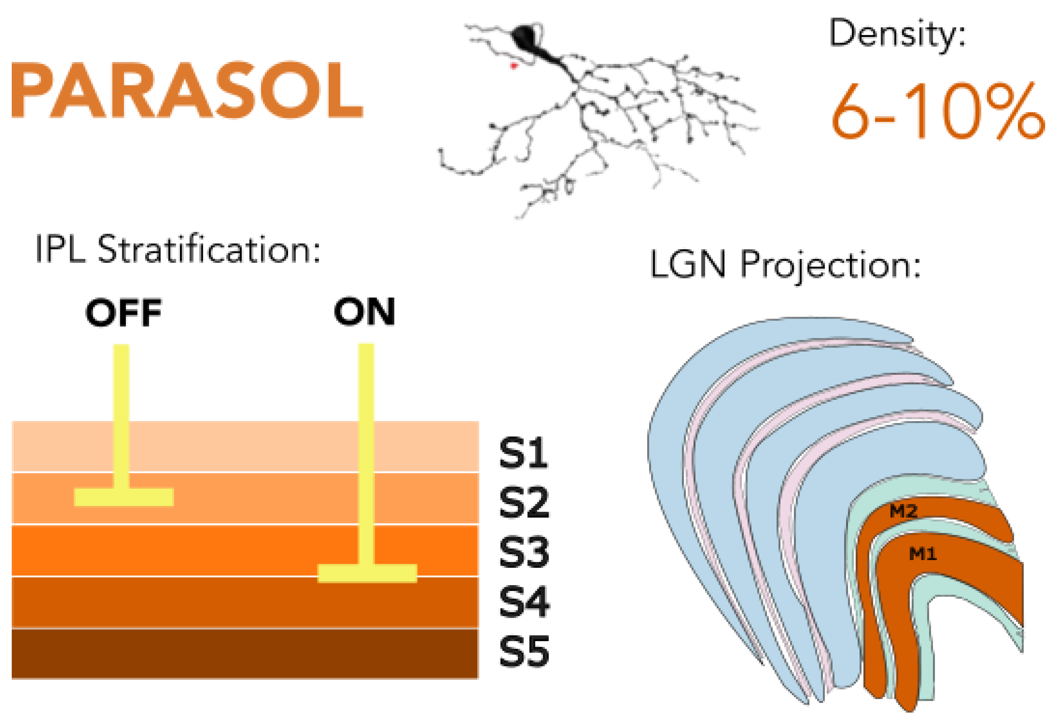 Preprints 181487 g002