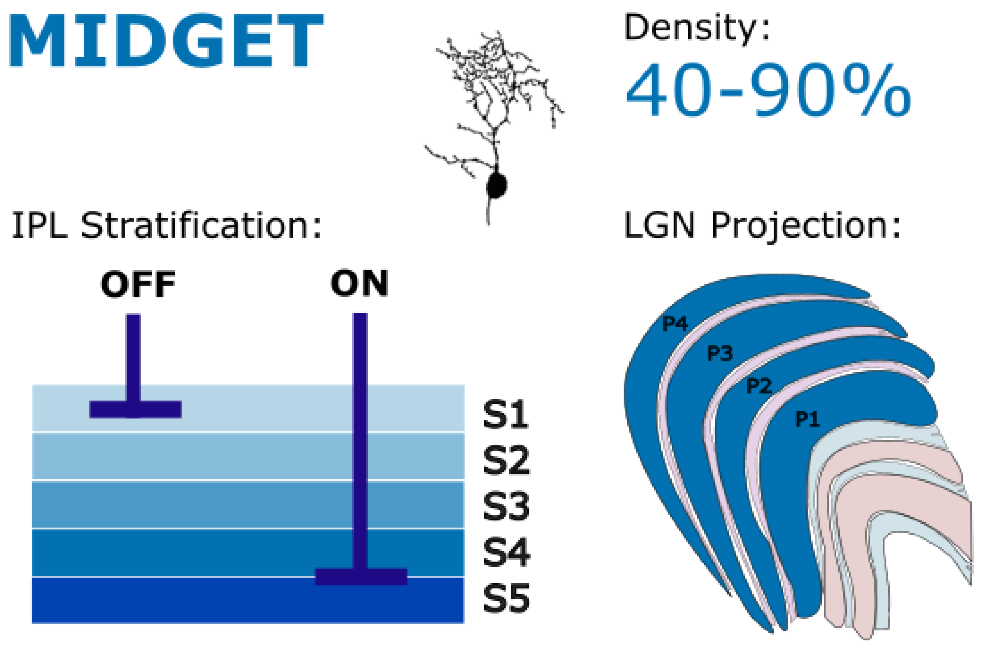 Preprints 181487 g004