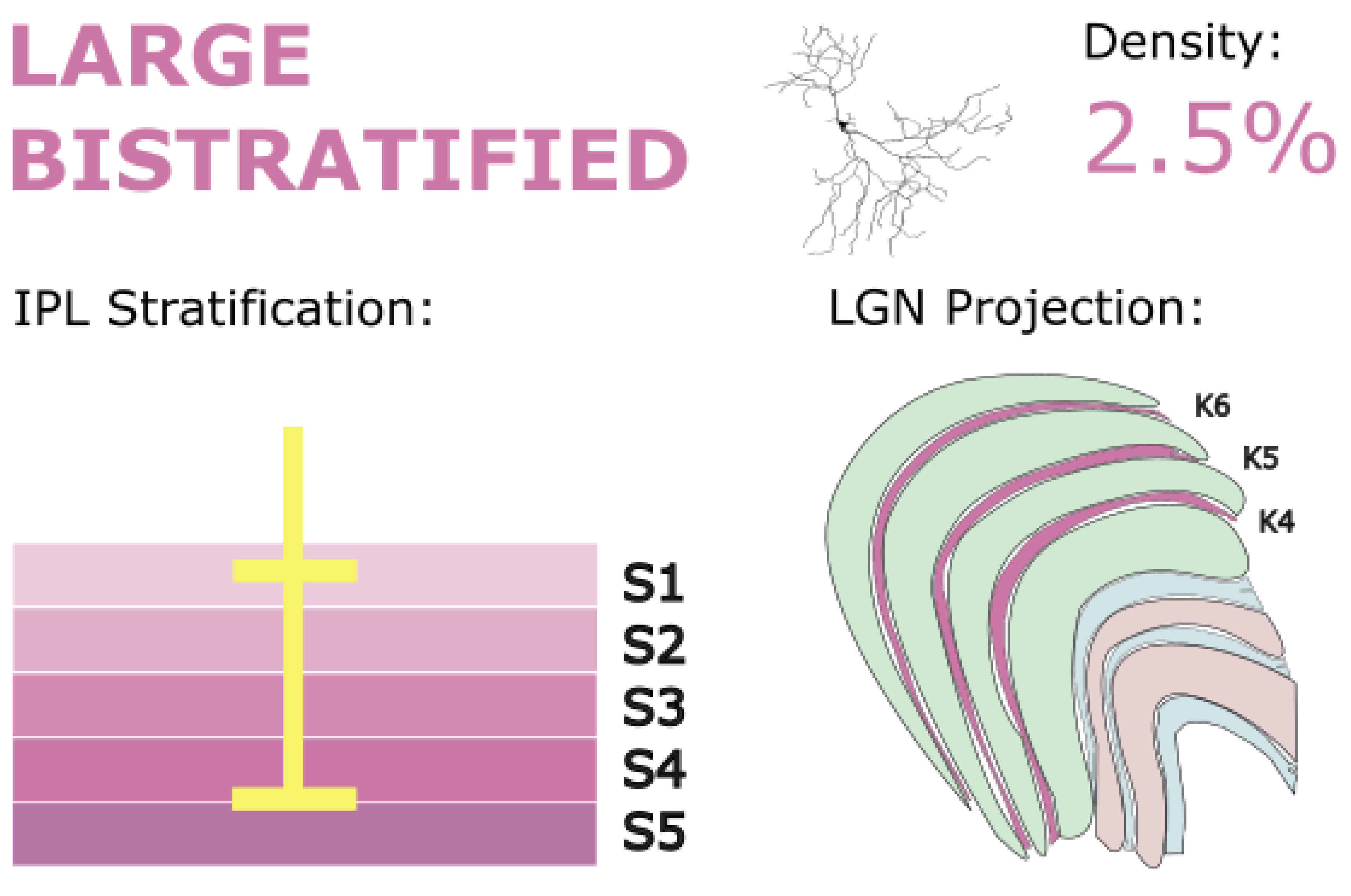 Preprints 181487 g006