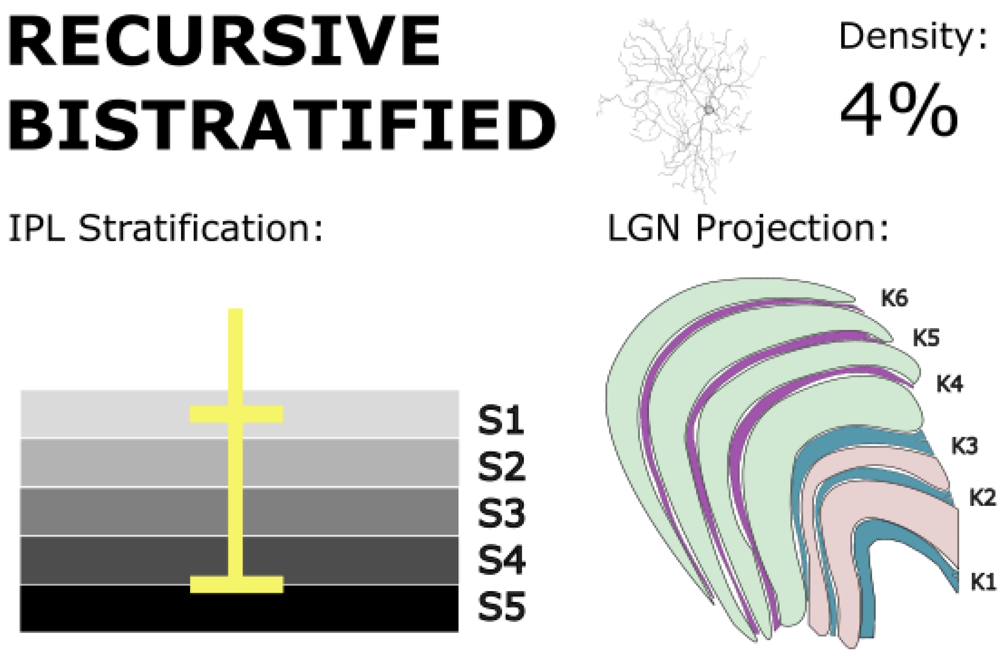 Preprints 181487 g010