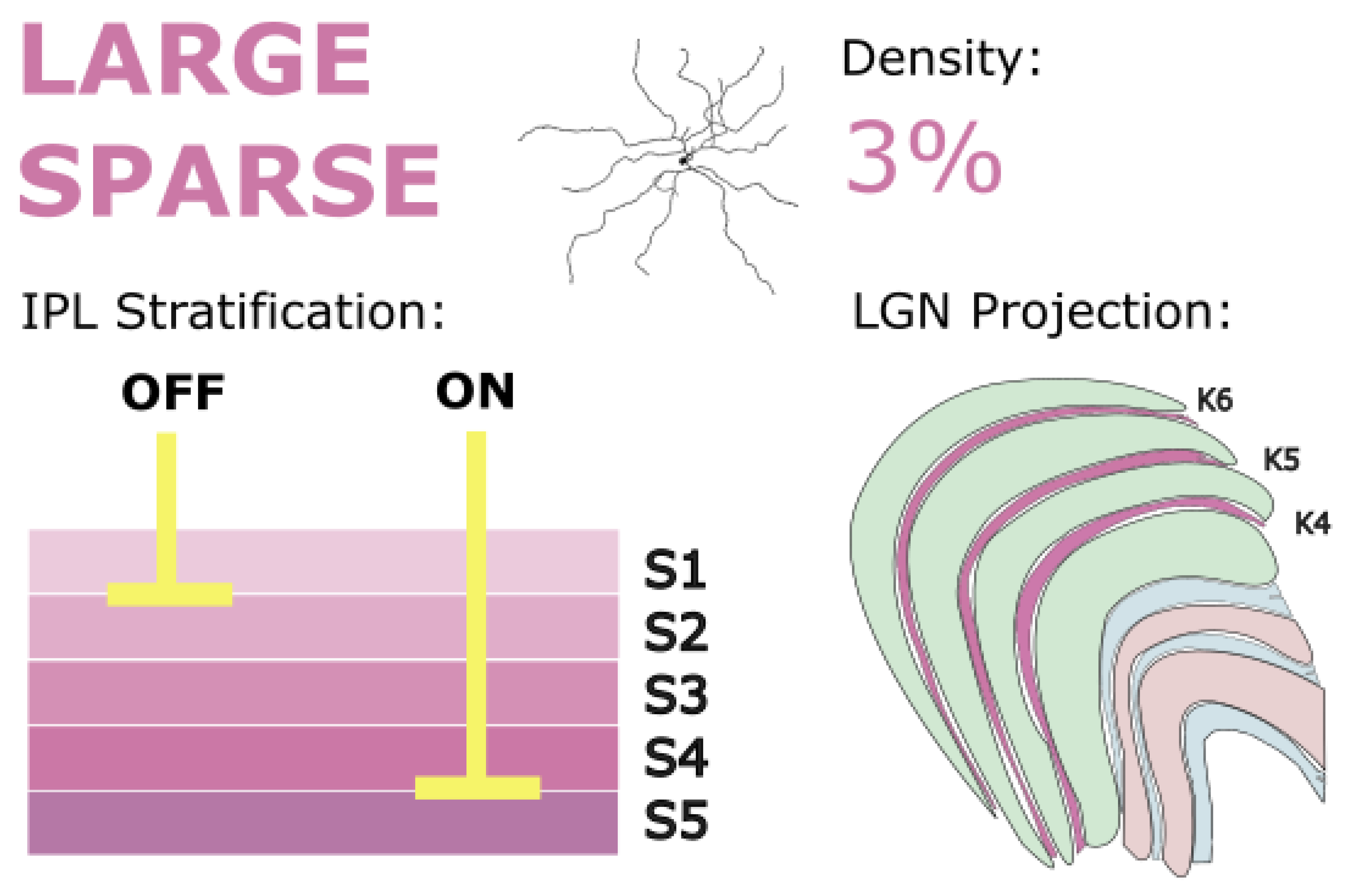 Preprints 181487 g011