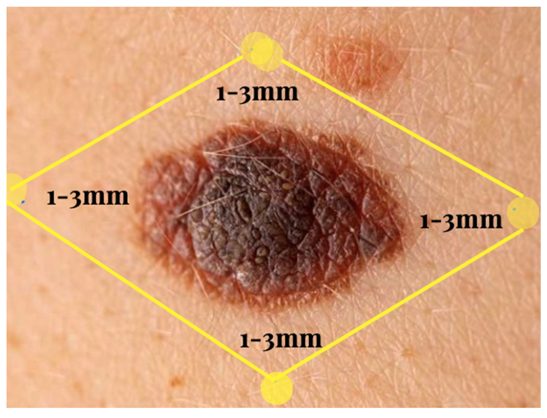 Preprints 185747 g001