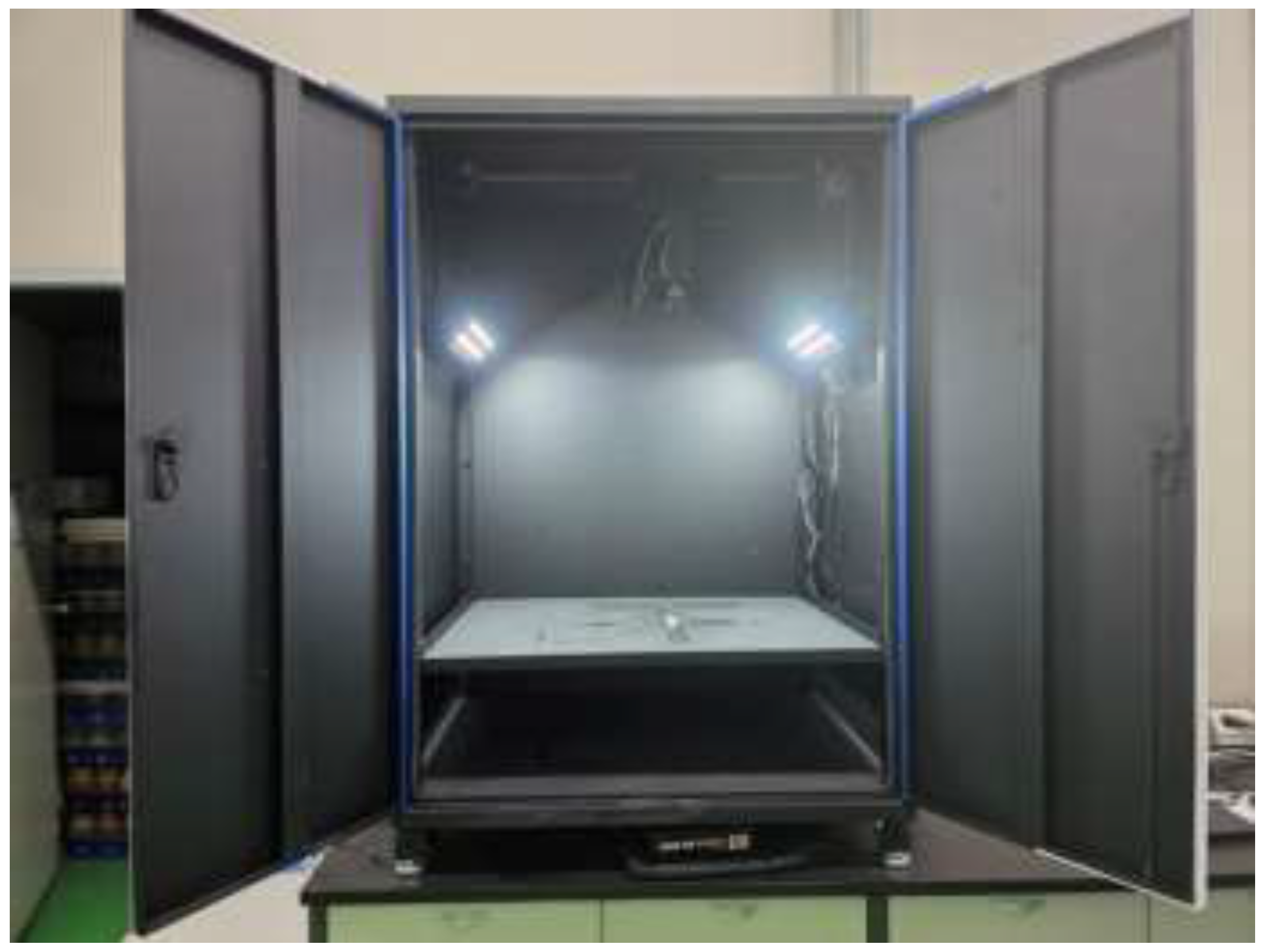 Preprints 196911 g001