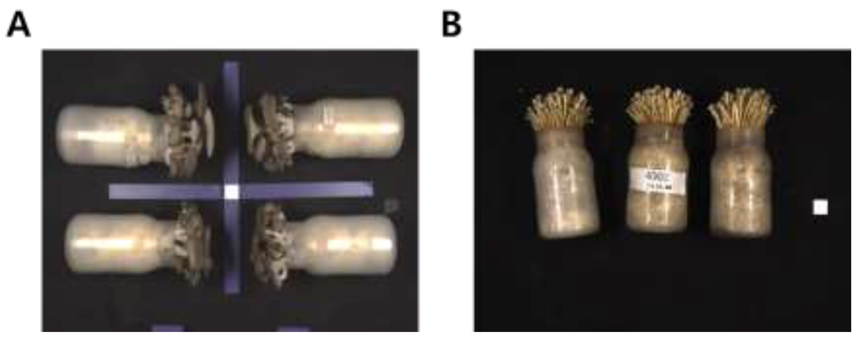 Preprints 196911 g002