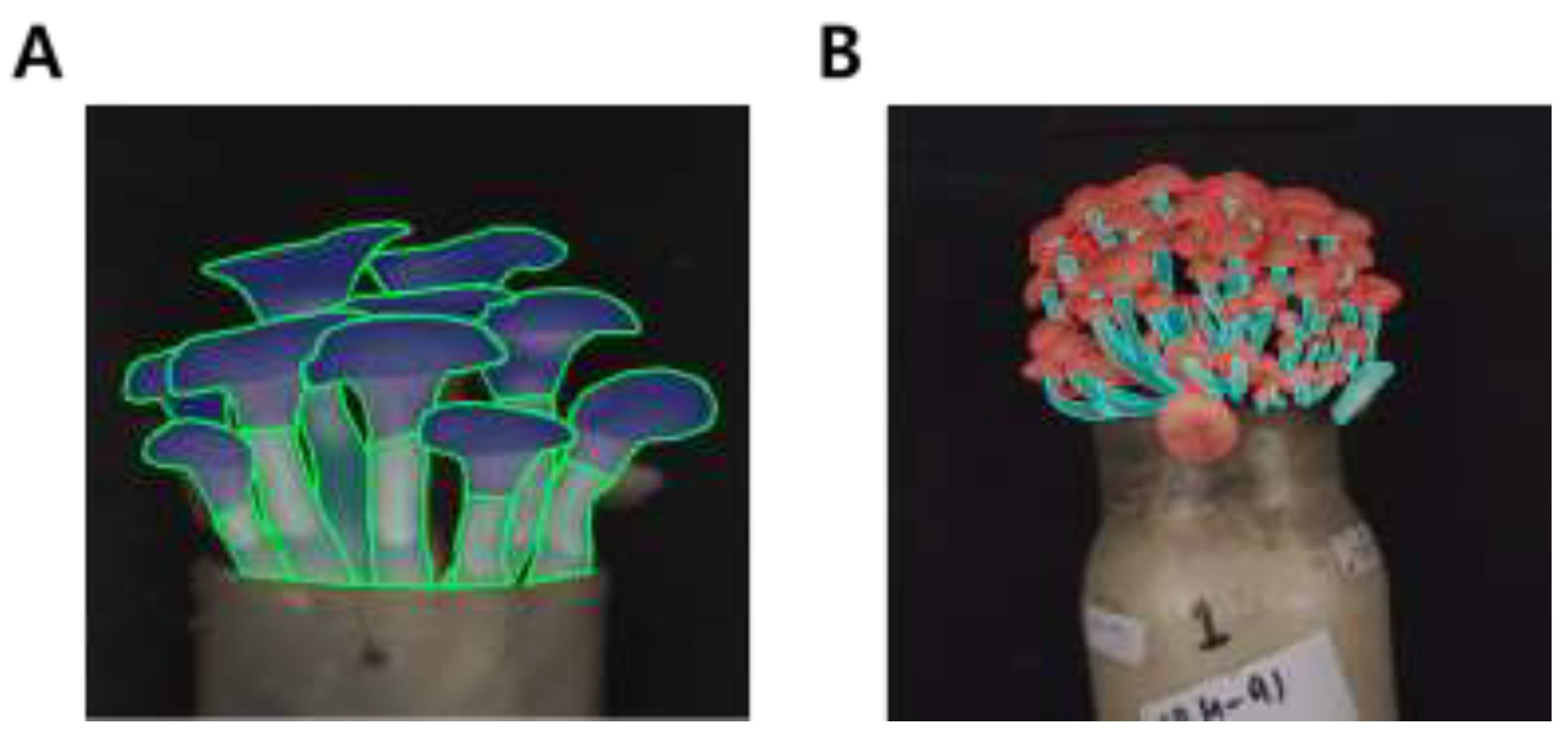 Preprints 196911 g003