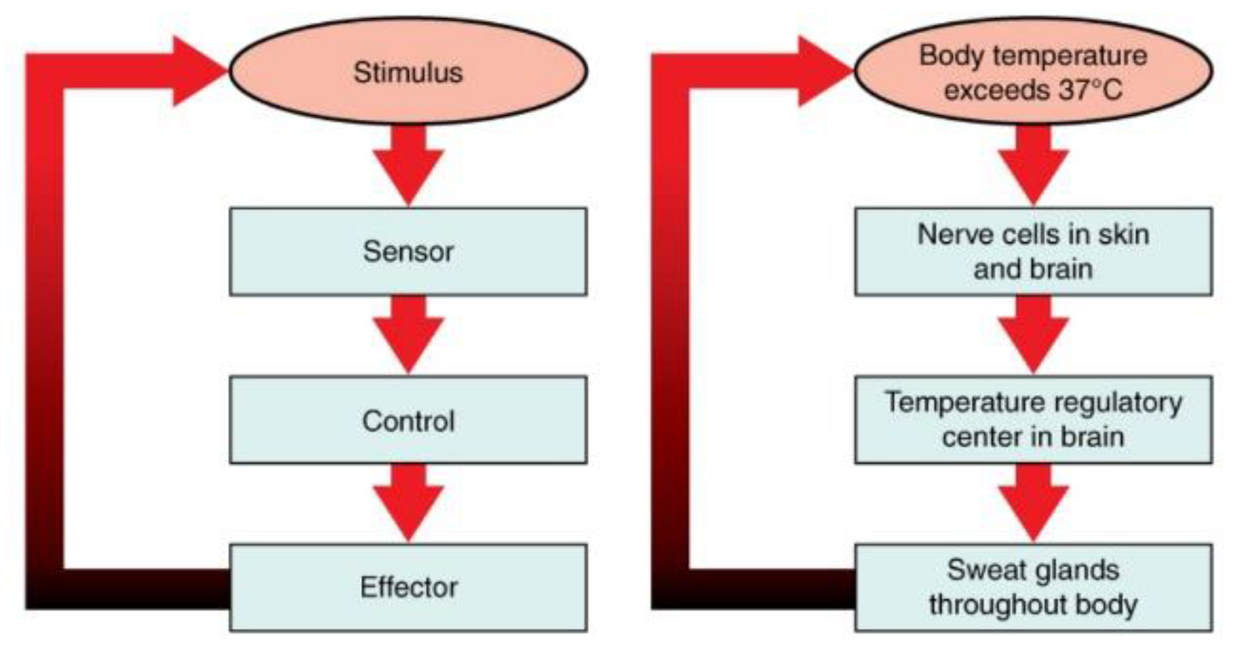 Preprints 142045 g001