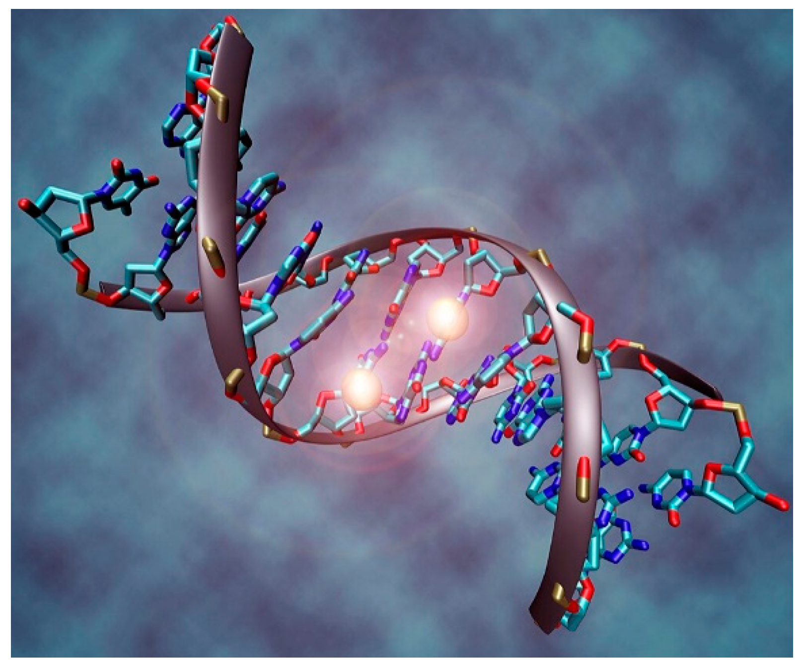 Preprints 142045 g003
