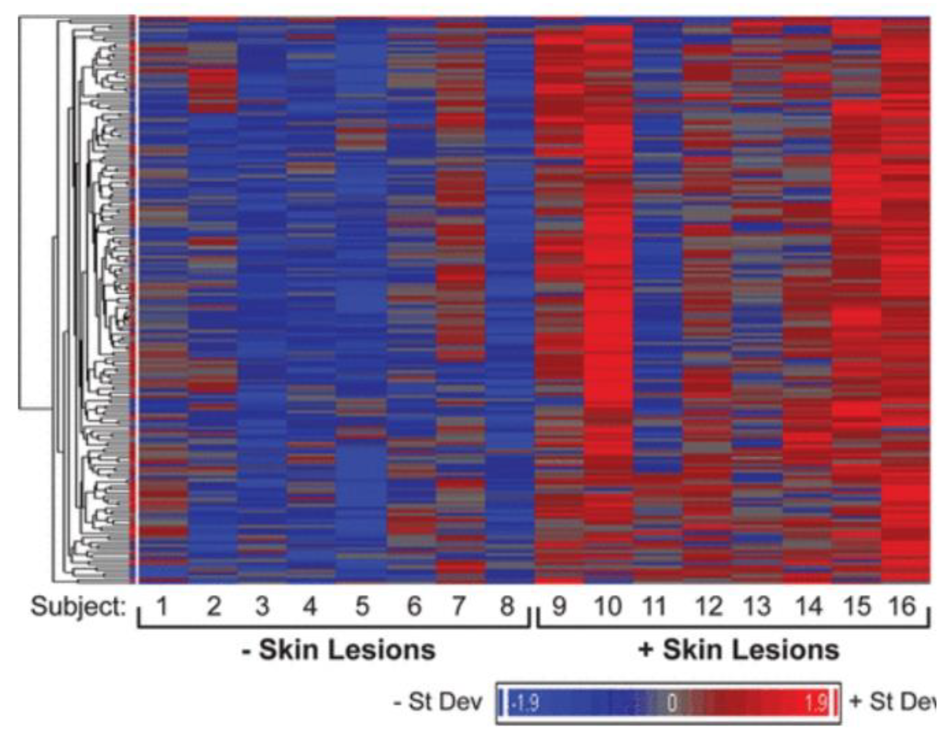 Preprints 142045 g004