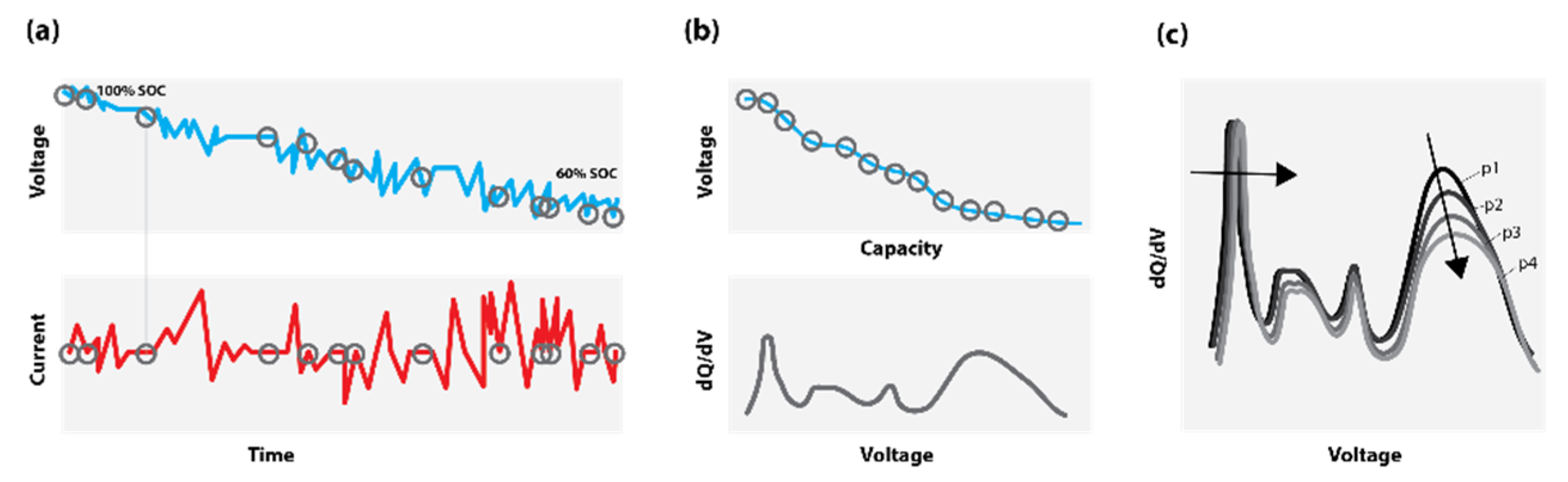 Preprints 110446 g001