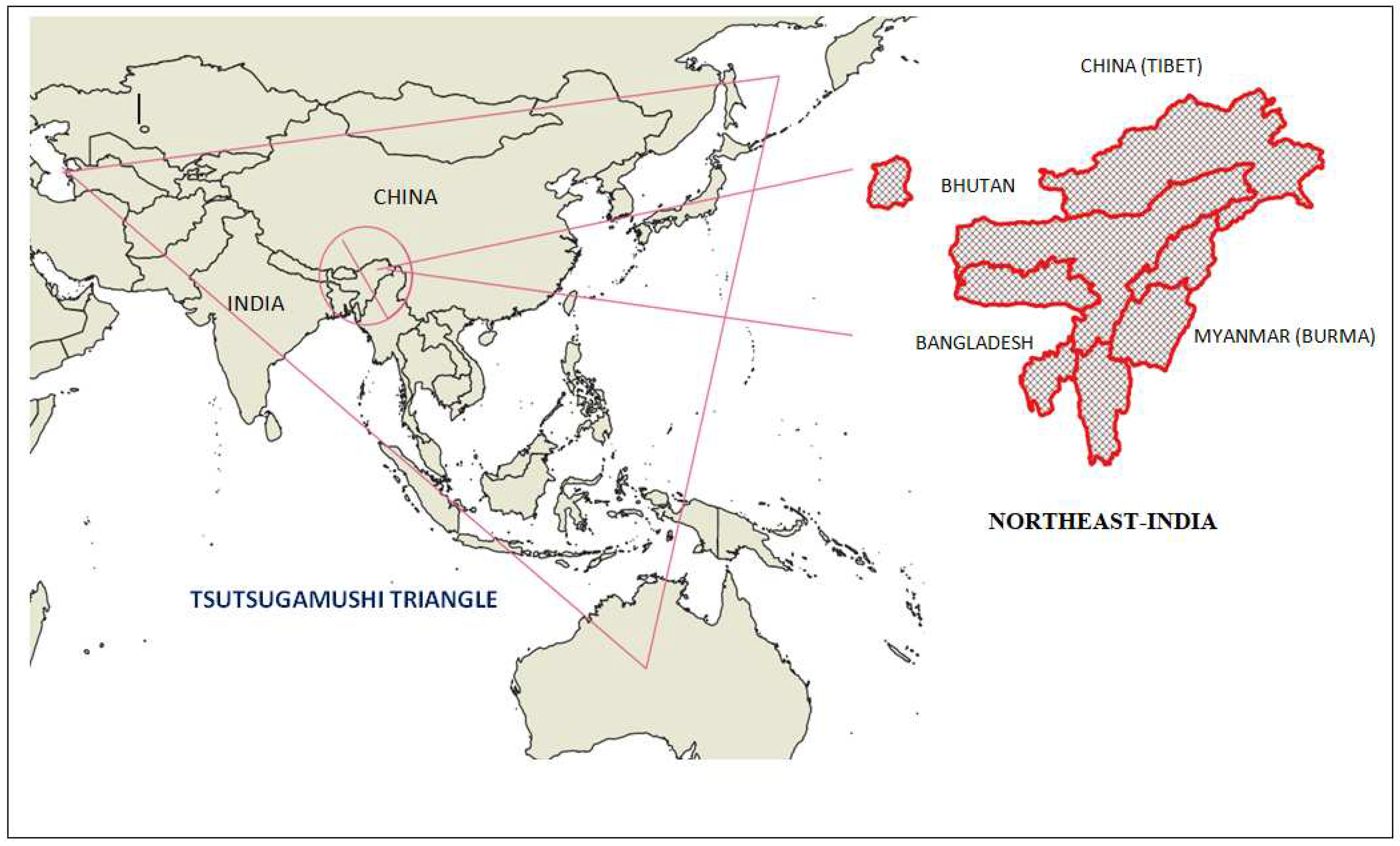 Preprints 80892 g001
