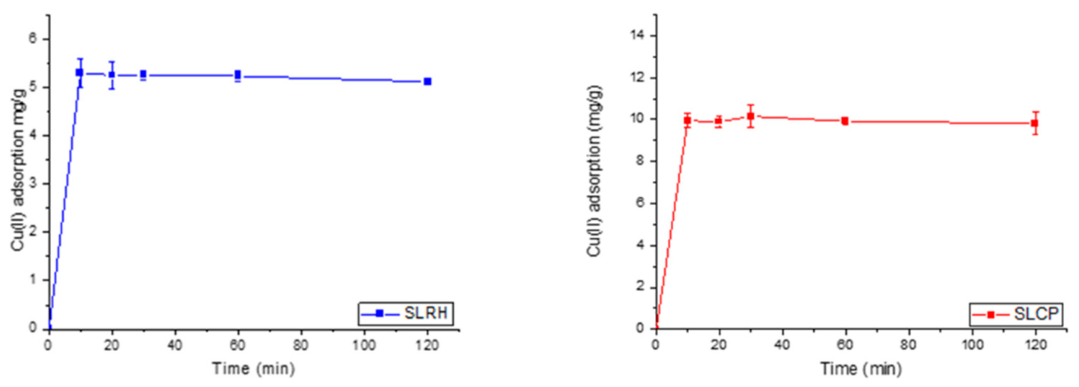 Preprints 233741 g004 Preprints 233741 g004