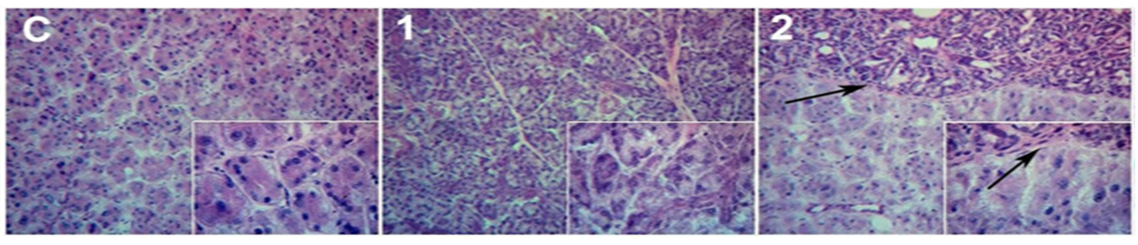 Preprints 104875 g002