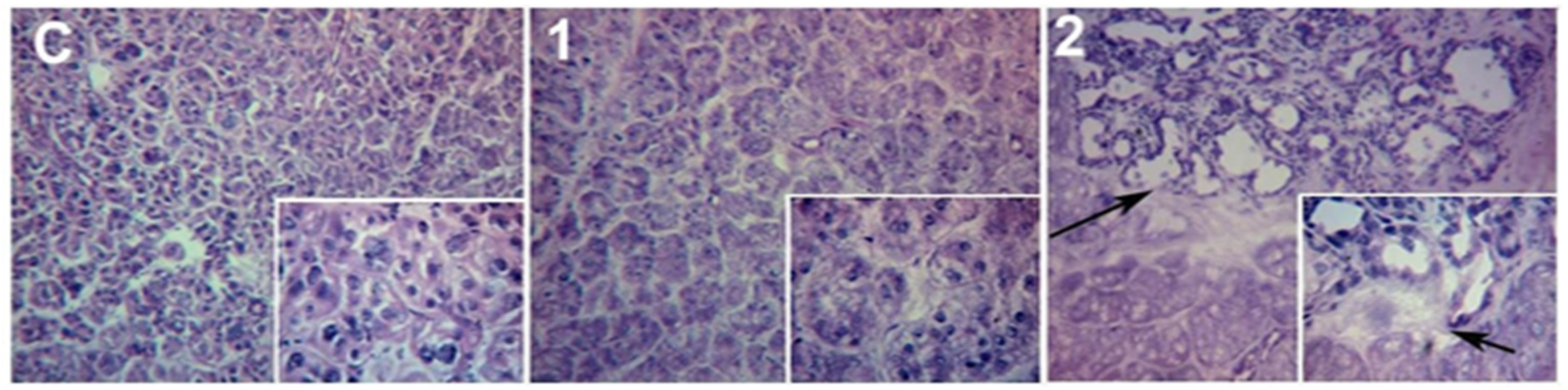 Preprints 104875 g003