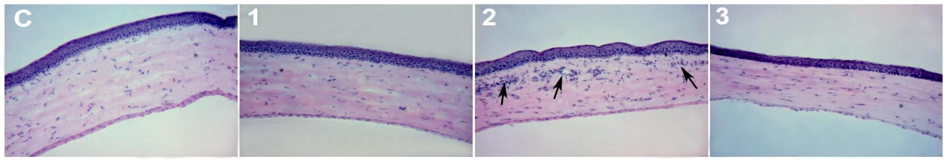 Preprints 104875 g004