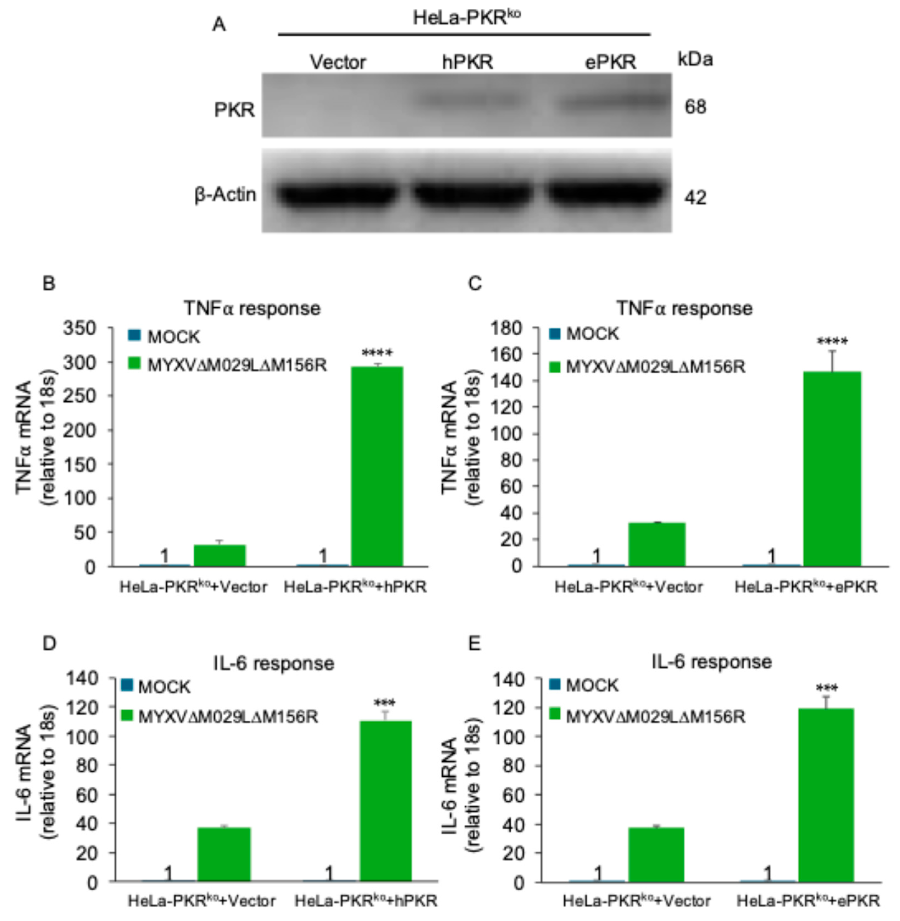 Preprints 163011 g004