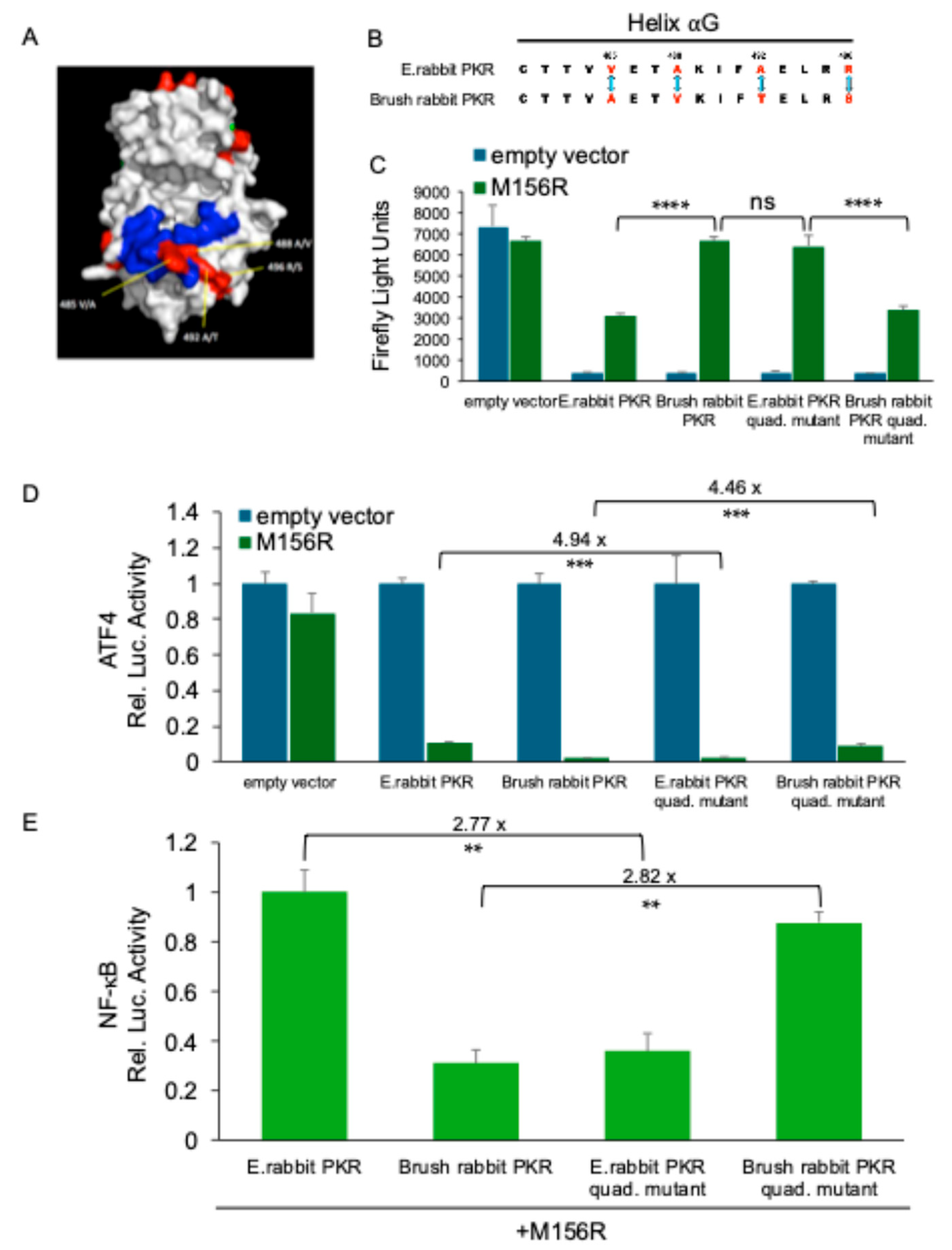 Preprints 163011 g005
