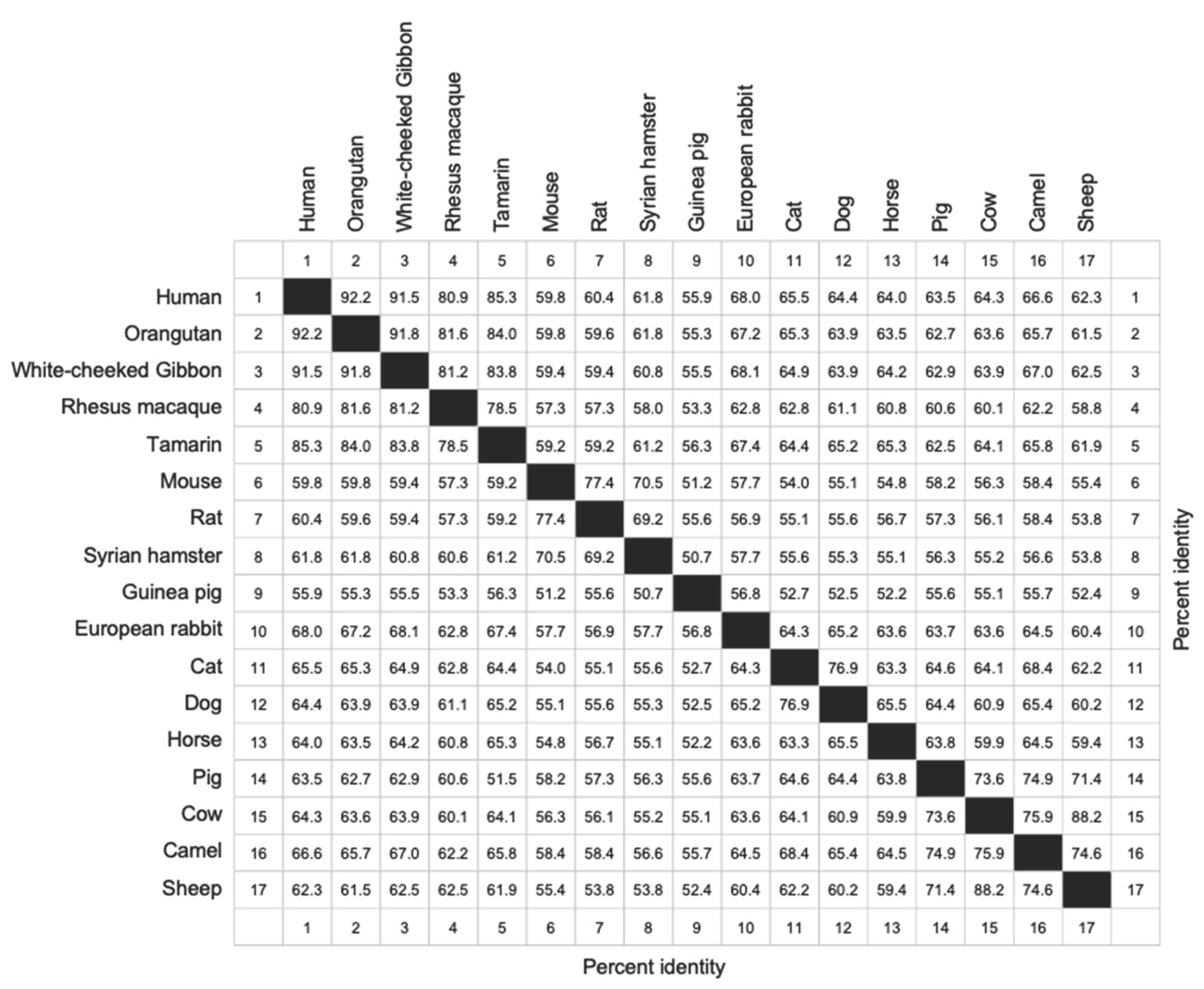 Preprints 163011 i001