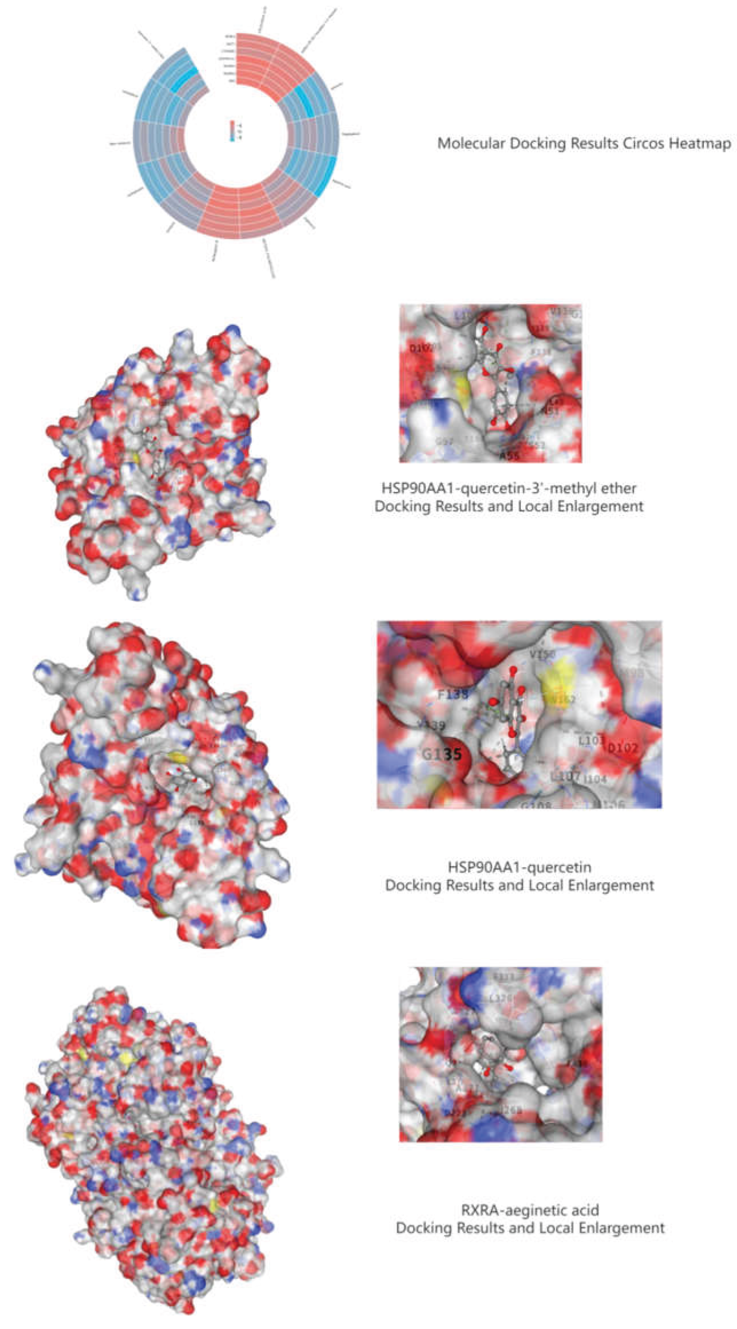 Preprints 226378 g008 Preprints 226378 g008